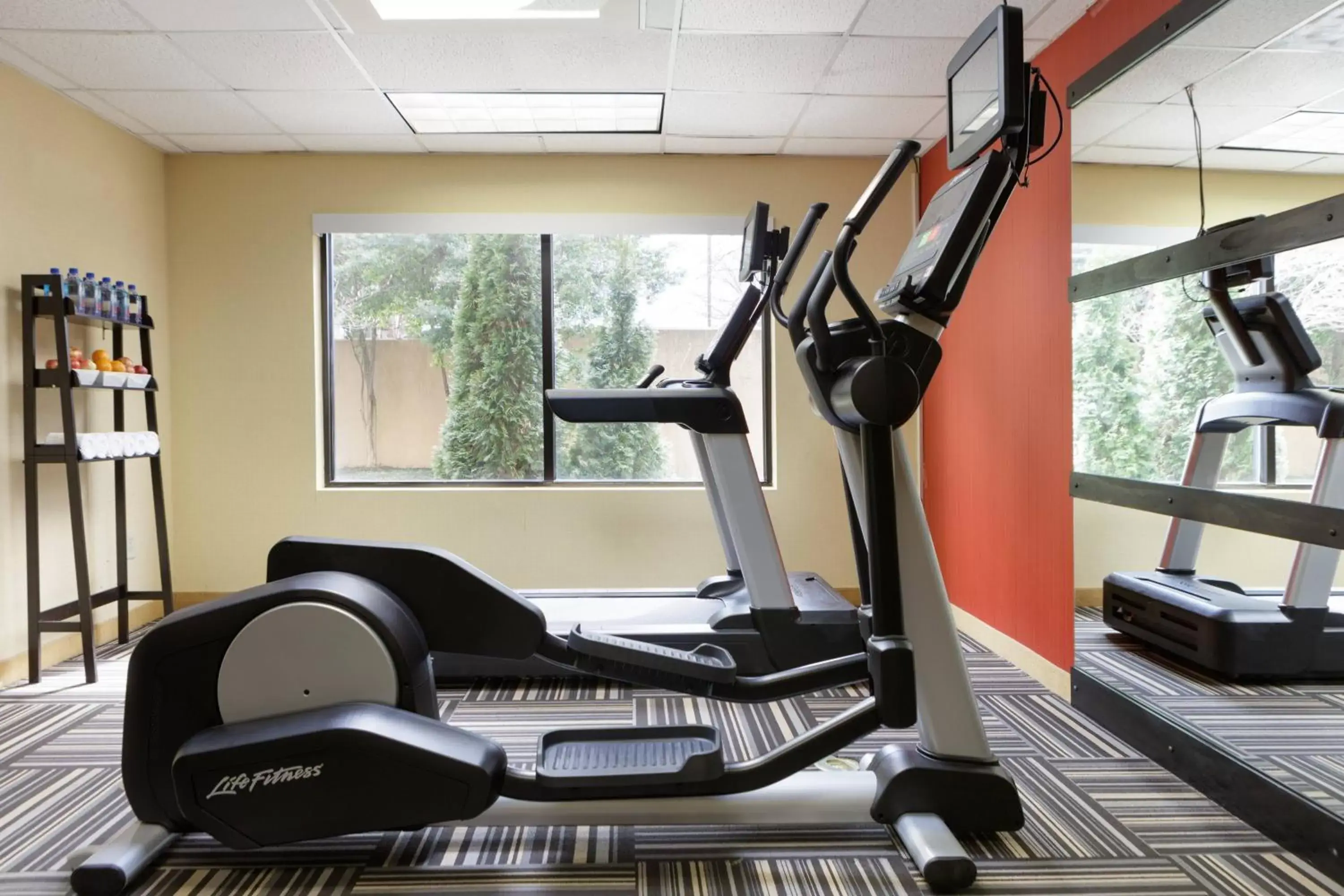 Fitness centre/facilities, Fitness Center/Facilities in Courtyard Harrisonburg