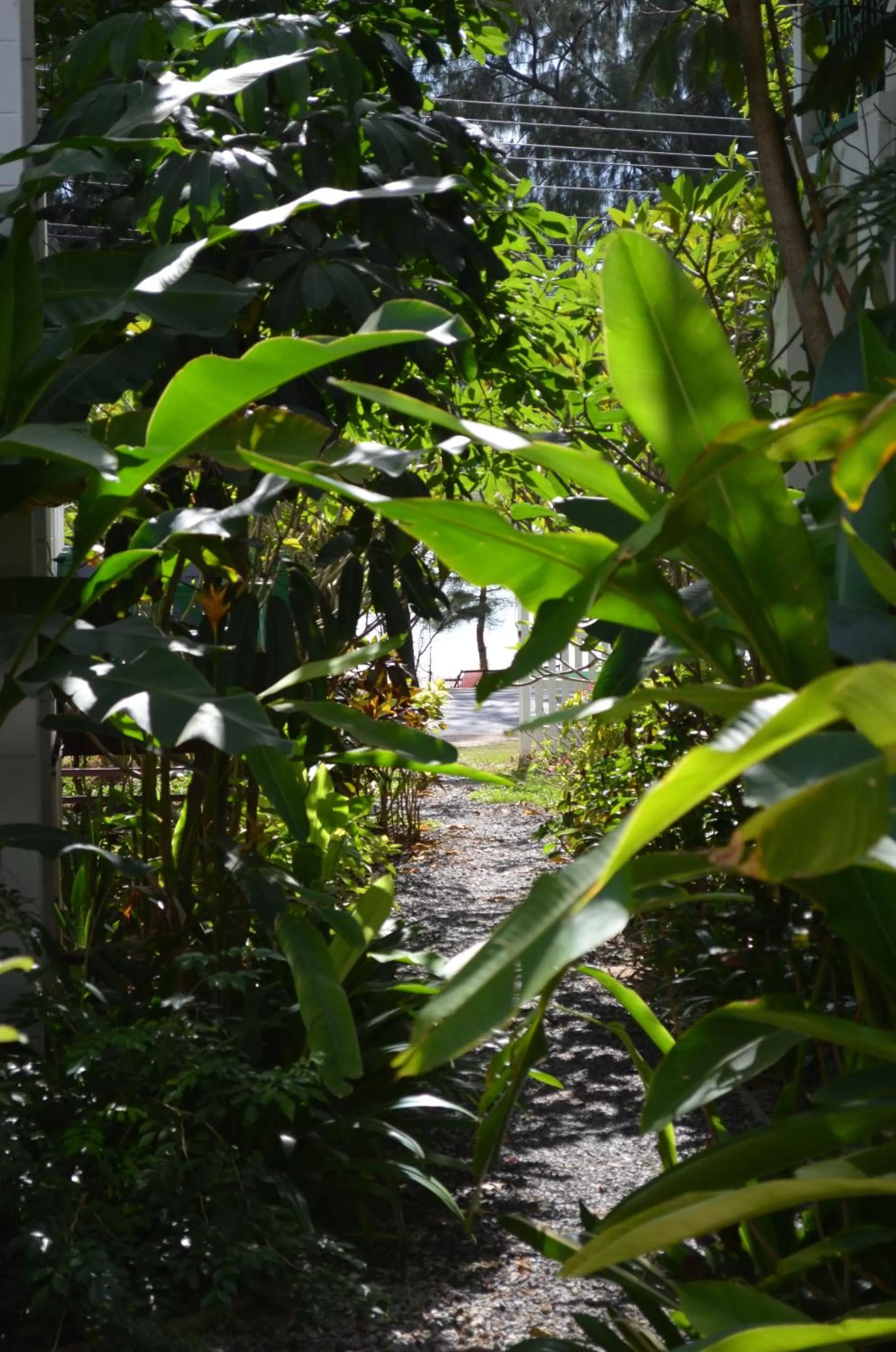 Garden in Makmai Villa - Rayong