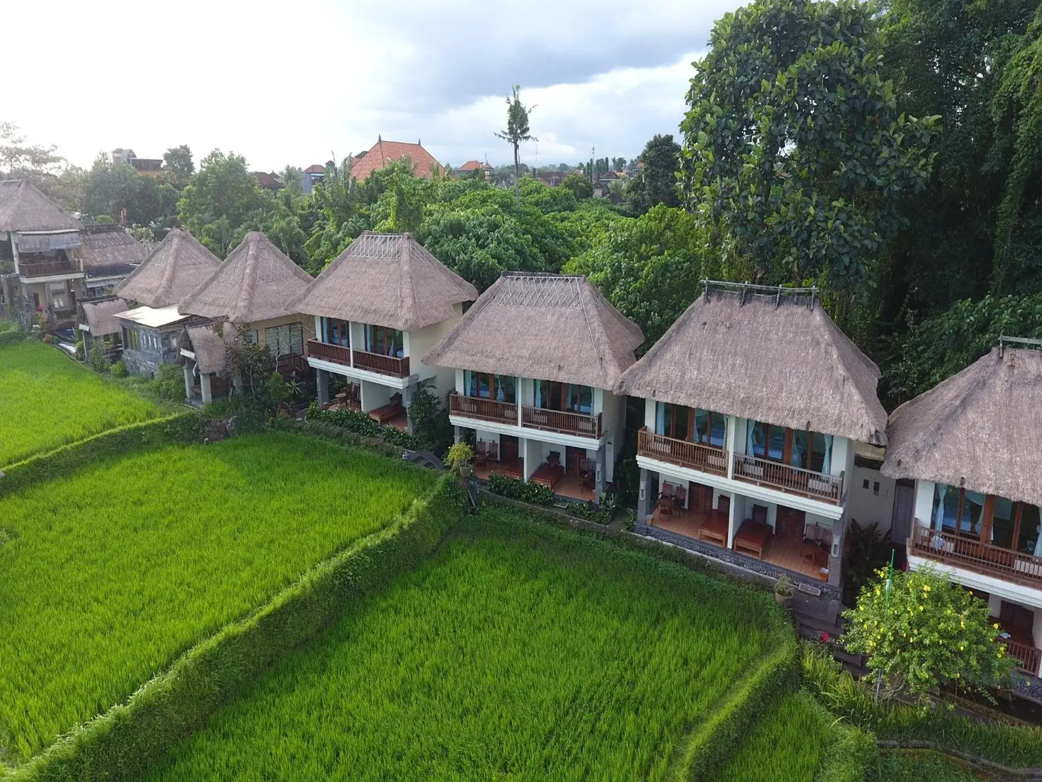 View (from property/room) in Biyukukung Suite & Spa