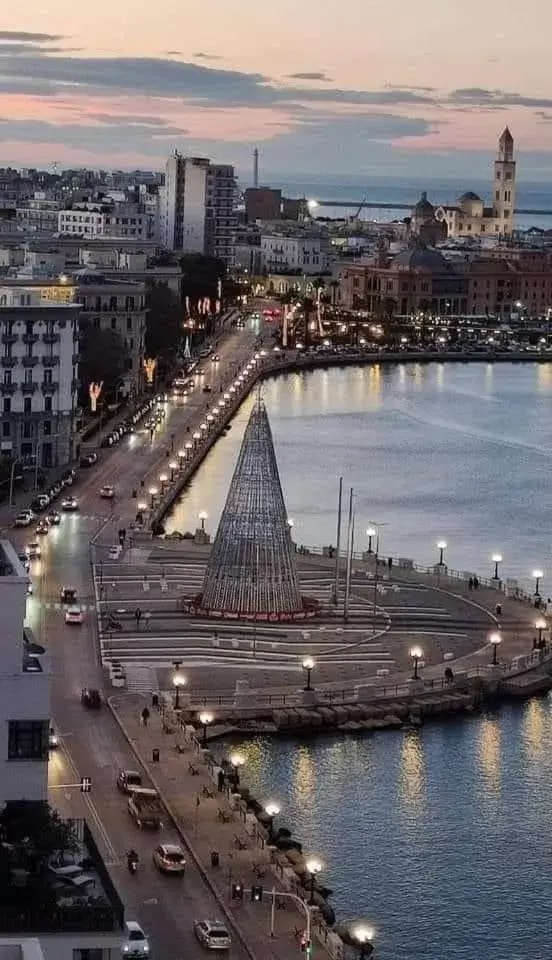 Bird's-eye View in Giglio Rosso