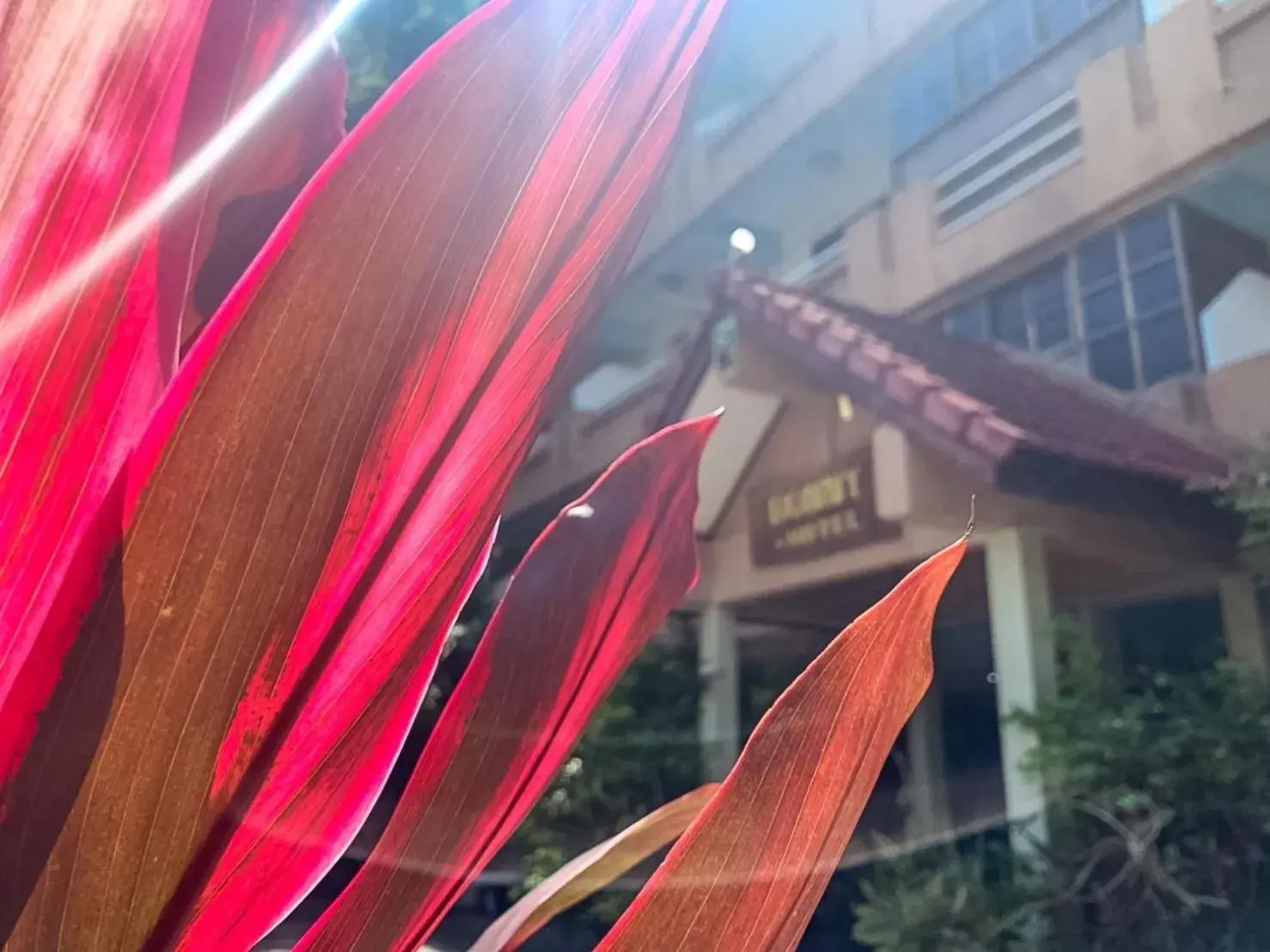 View (from property/room) in Bonny Hotel 4 Floors No Elevator View (from property/room) in Bonny Hotel 4 Floors No Elevator