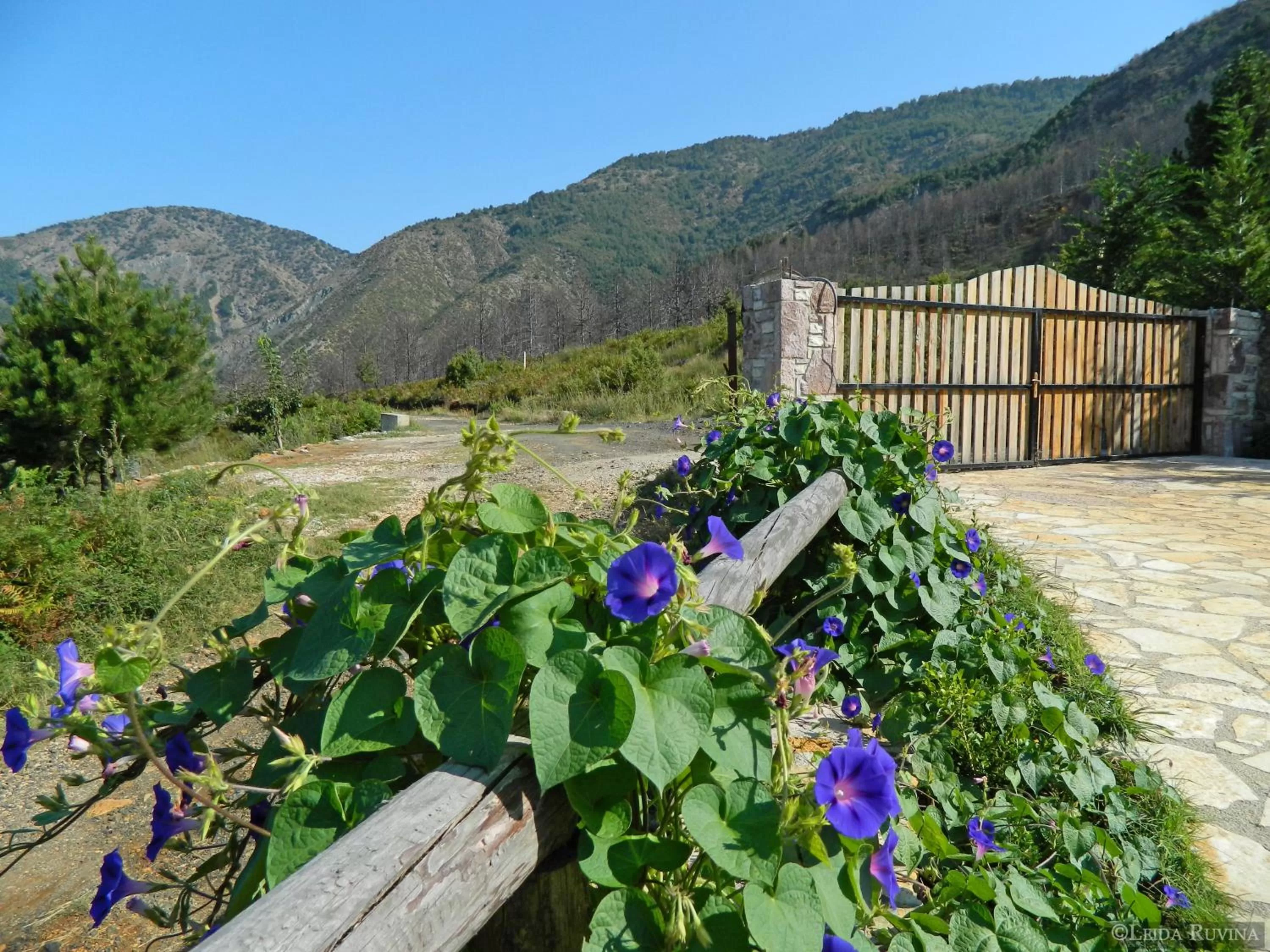 Garden in Sofra E Shpatit