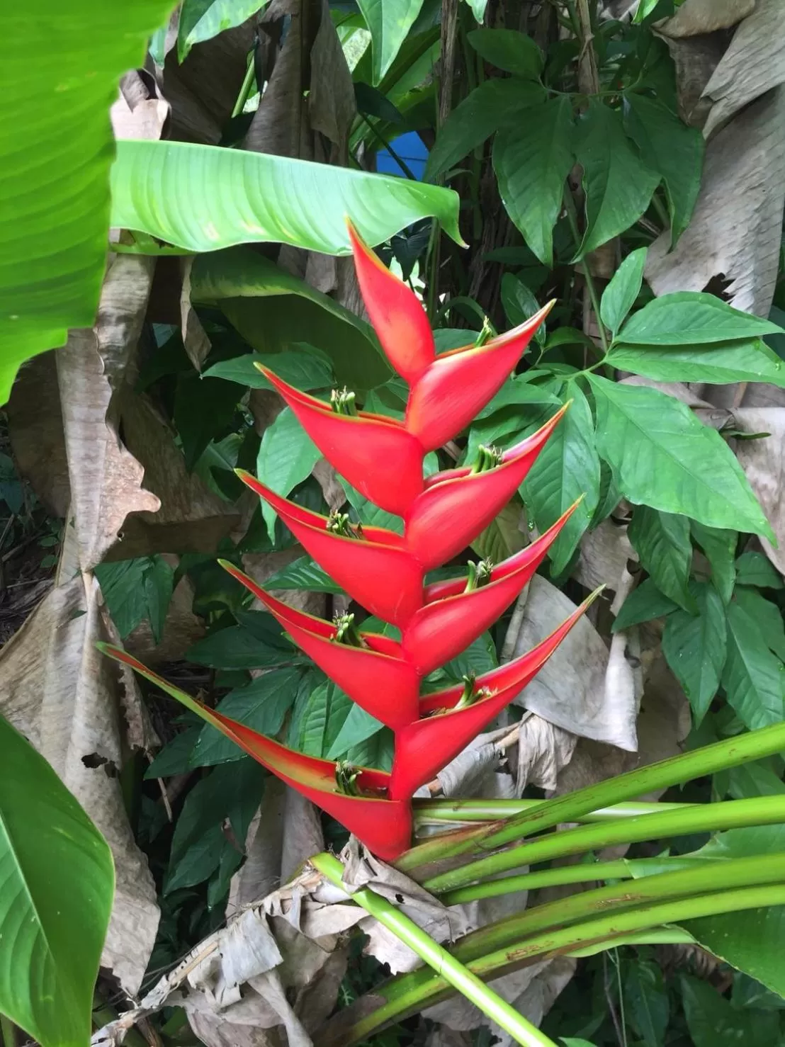 Ao Thong beach Resort