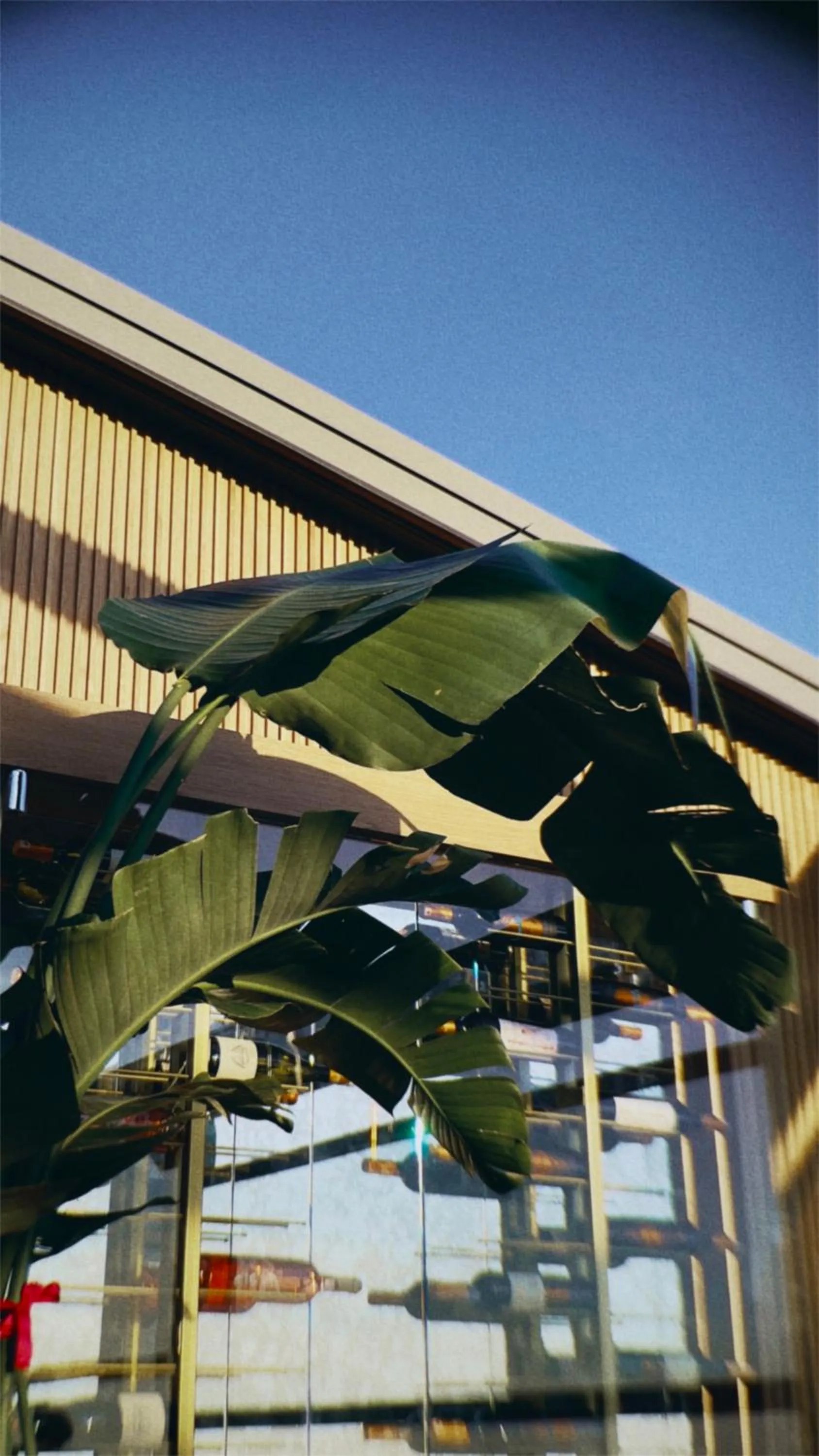 Restaurant/places to eat in Innova Sultanahmet Istanbul