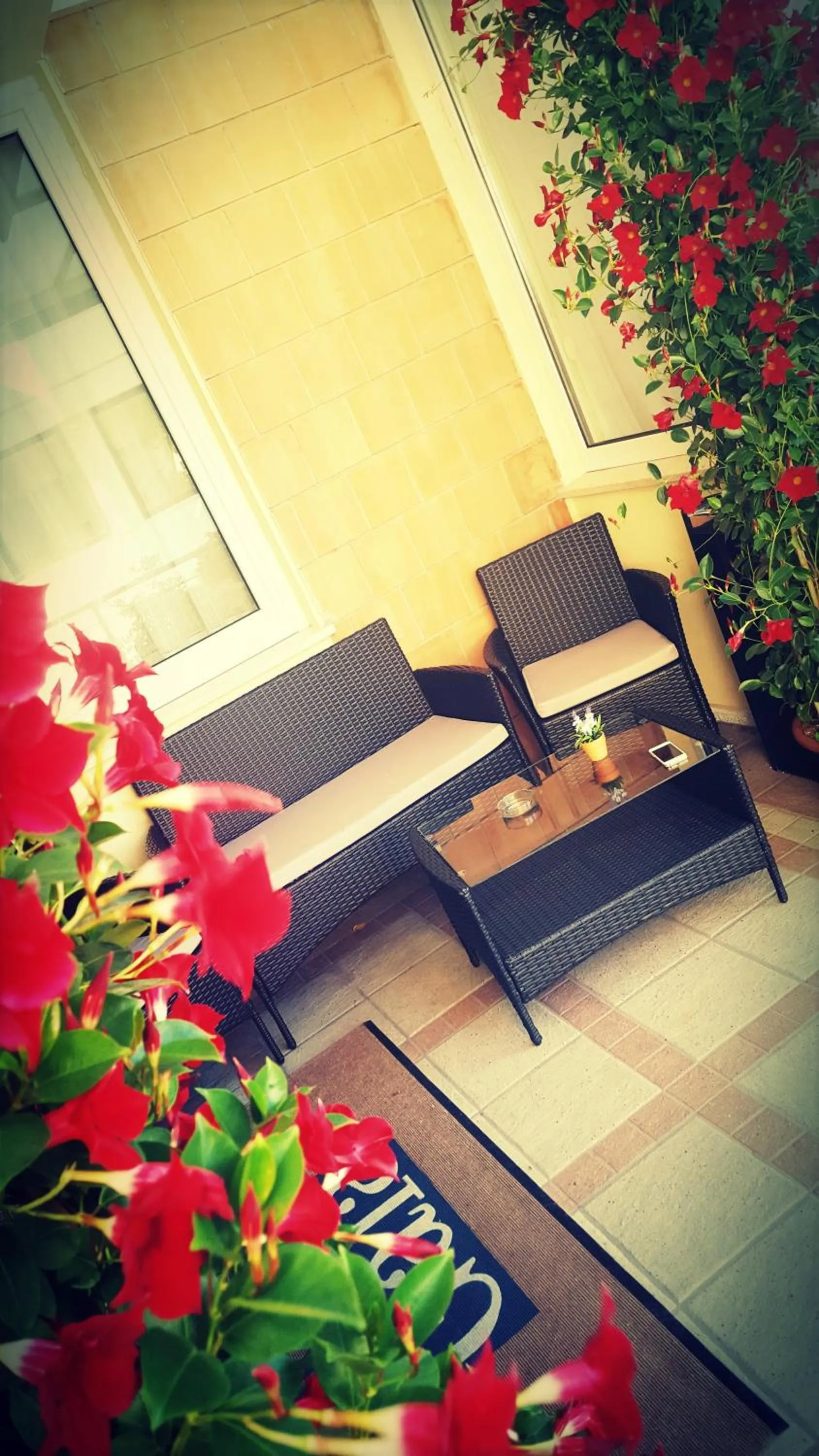 Area and facilities in Hotel Gala