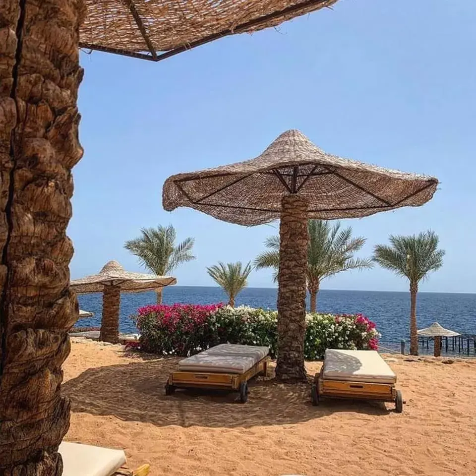 Beach in Monte Carlo Sharm Resort & Spa