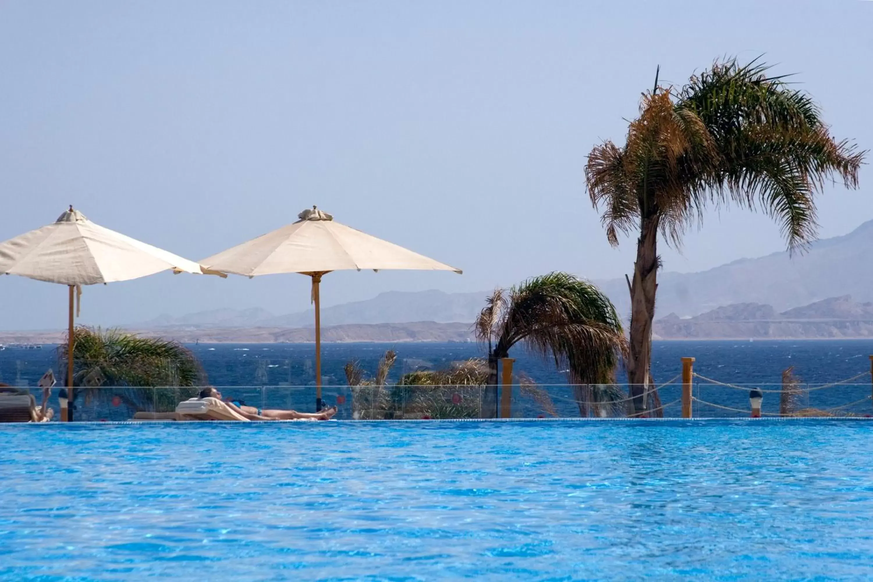 Beach, Swimming Pool in Cleopatra Luxury Resort Sharm El Sheikh