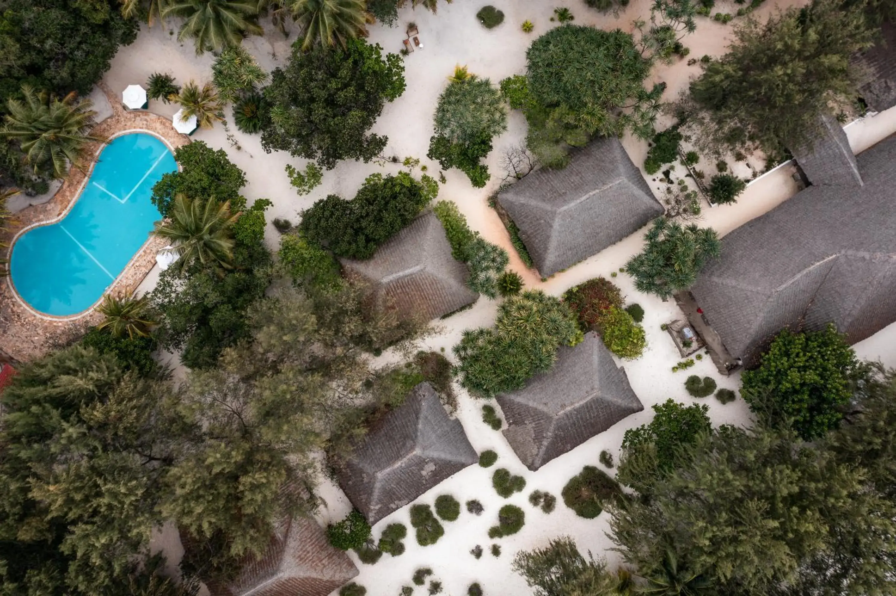 Bird's eye view, Bird's-eye View in Hakuna Majiwe Beach Lodge Zanzibar