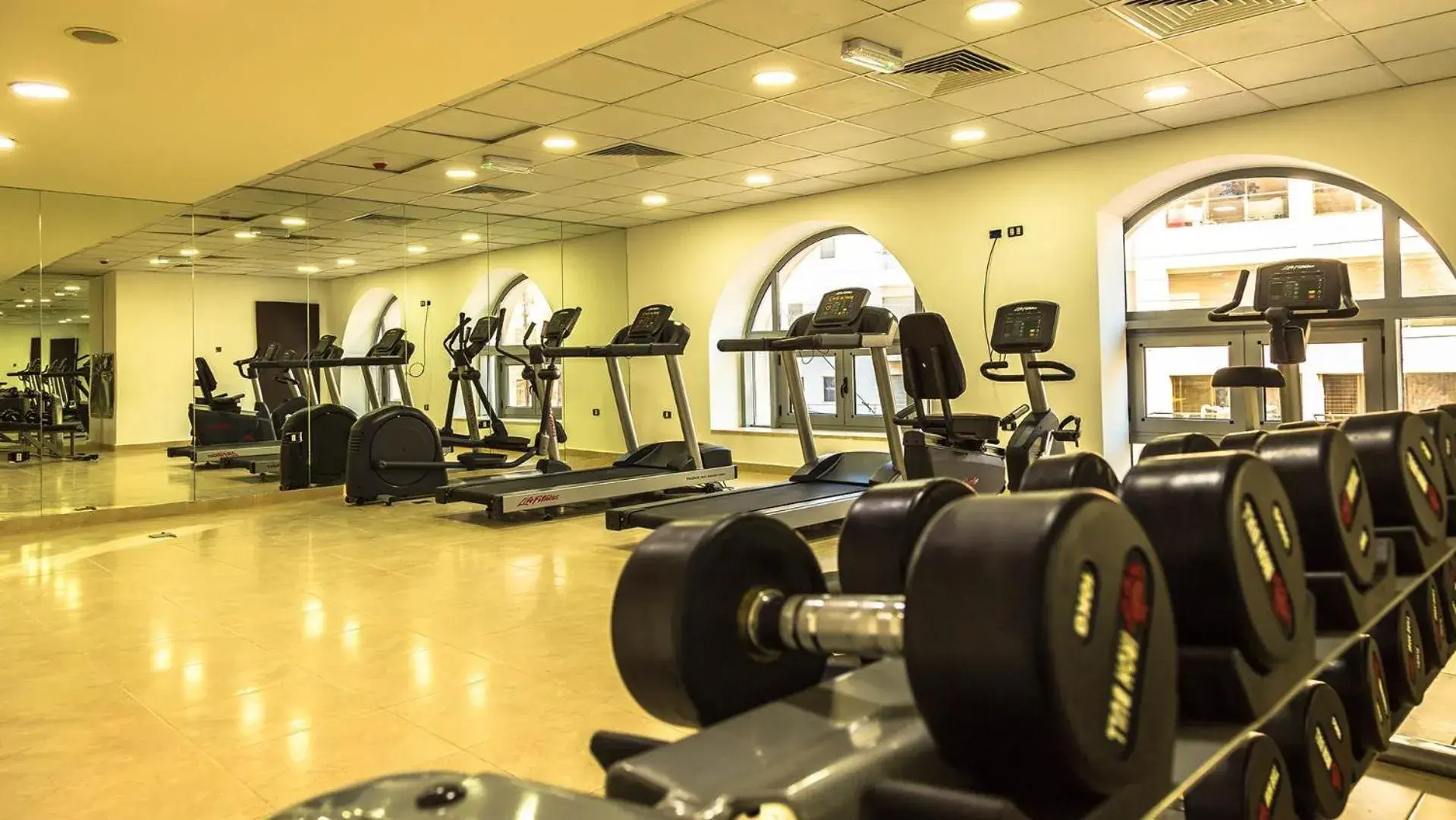 Fitness centre/facilities in Olive Tree Amman Fitness centre/facilities in Olive Tree Amman