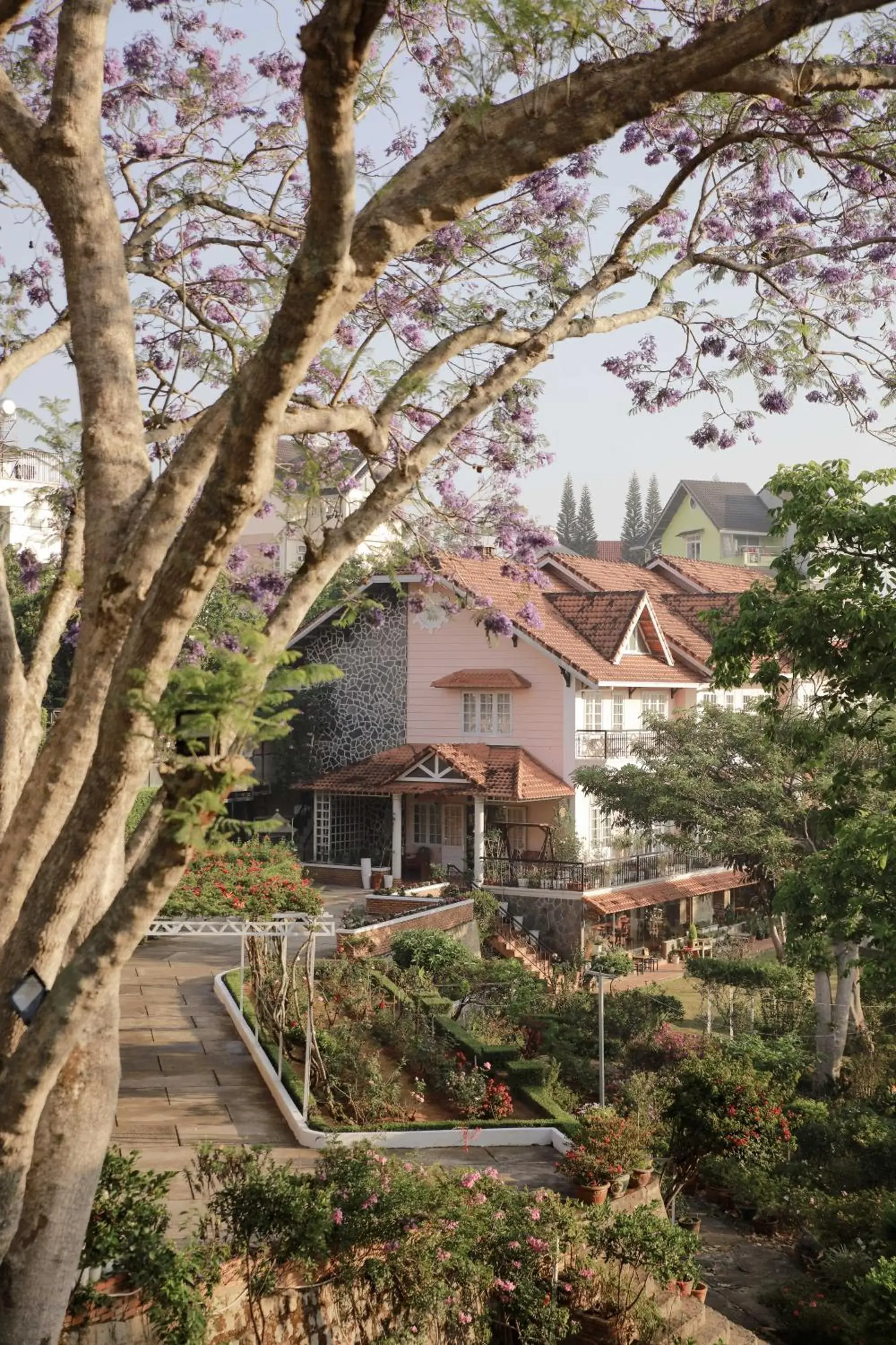 Property Building in Dalat Terrasse Des Roses Villa