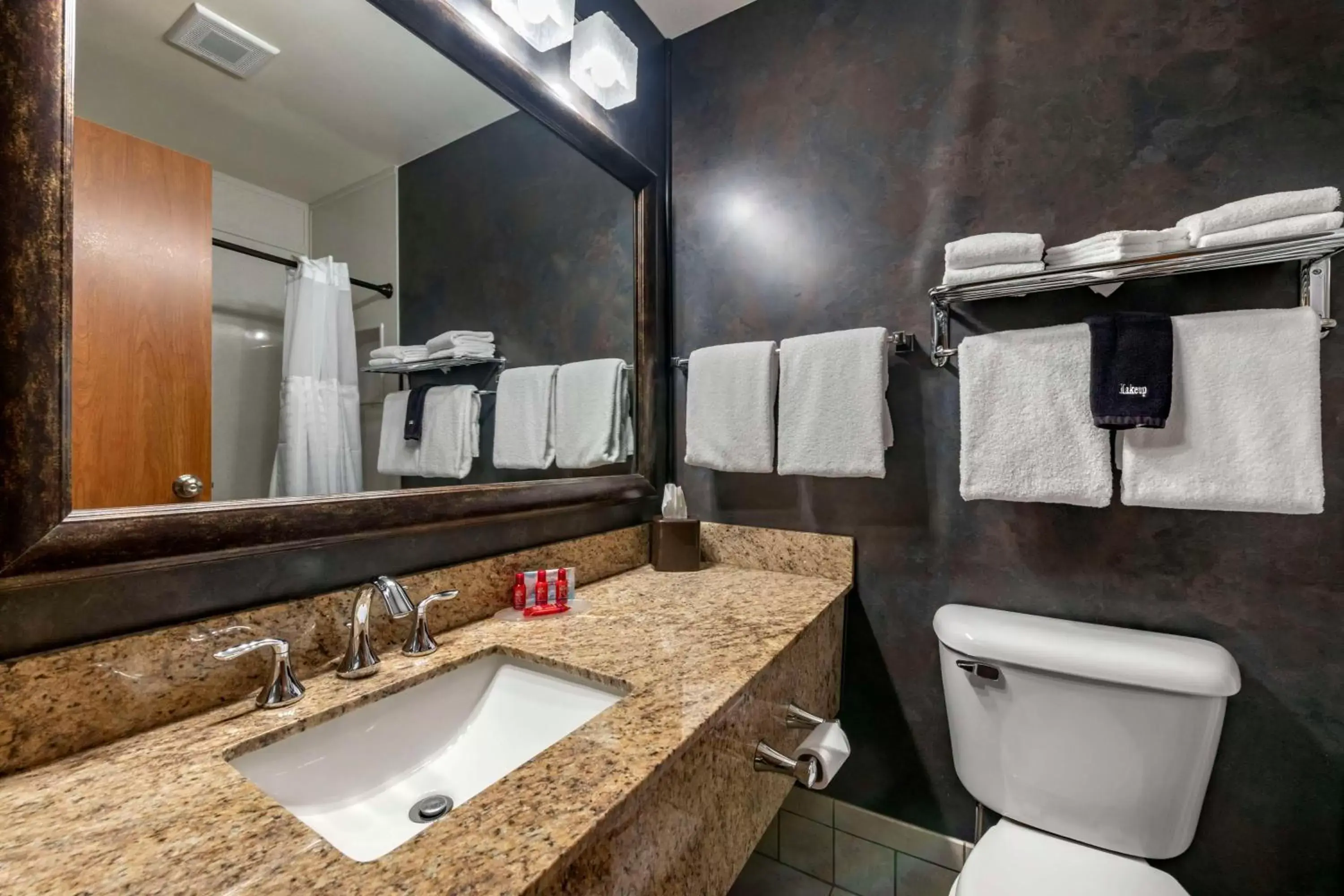 Bathroom in SureStay Plus Hotel by Best Western Buffalo