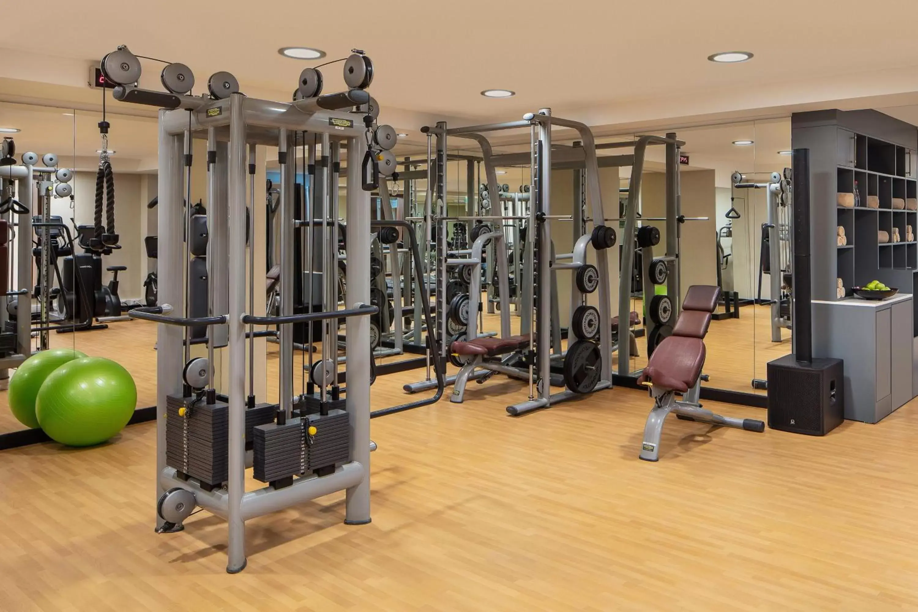 Fitness centre/facilities, Fitness Center/Facilities in Sheraton Istanbul Levent