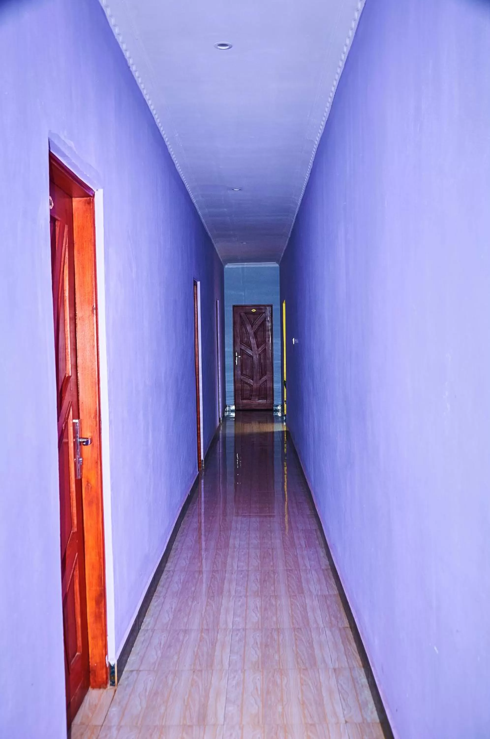 Property building in Safari Park House