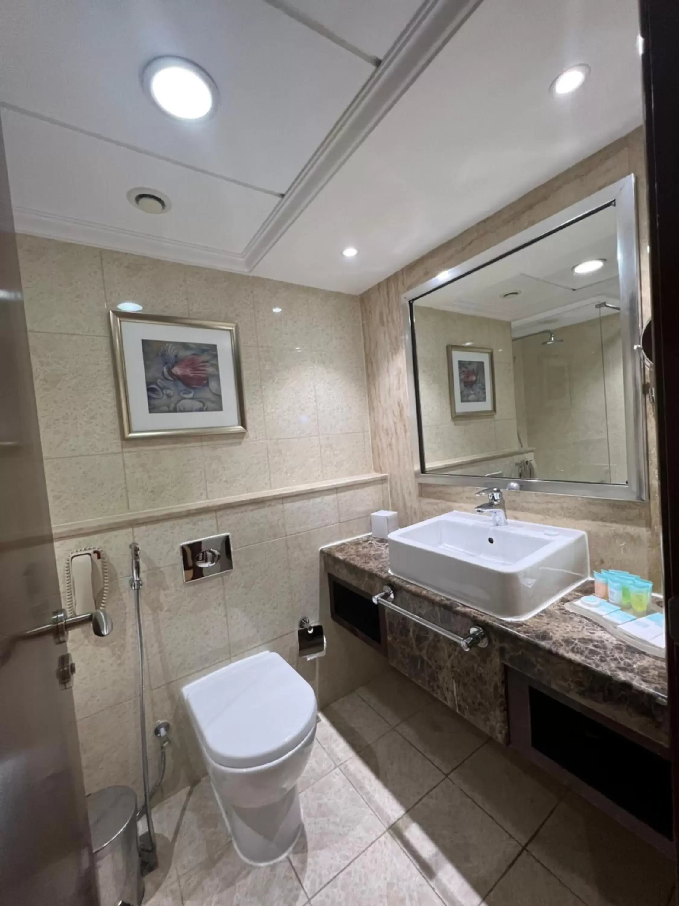 Bathroom in Oceanic Khorfakkan Resort & Spa