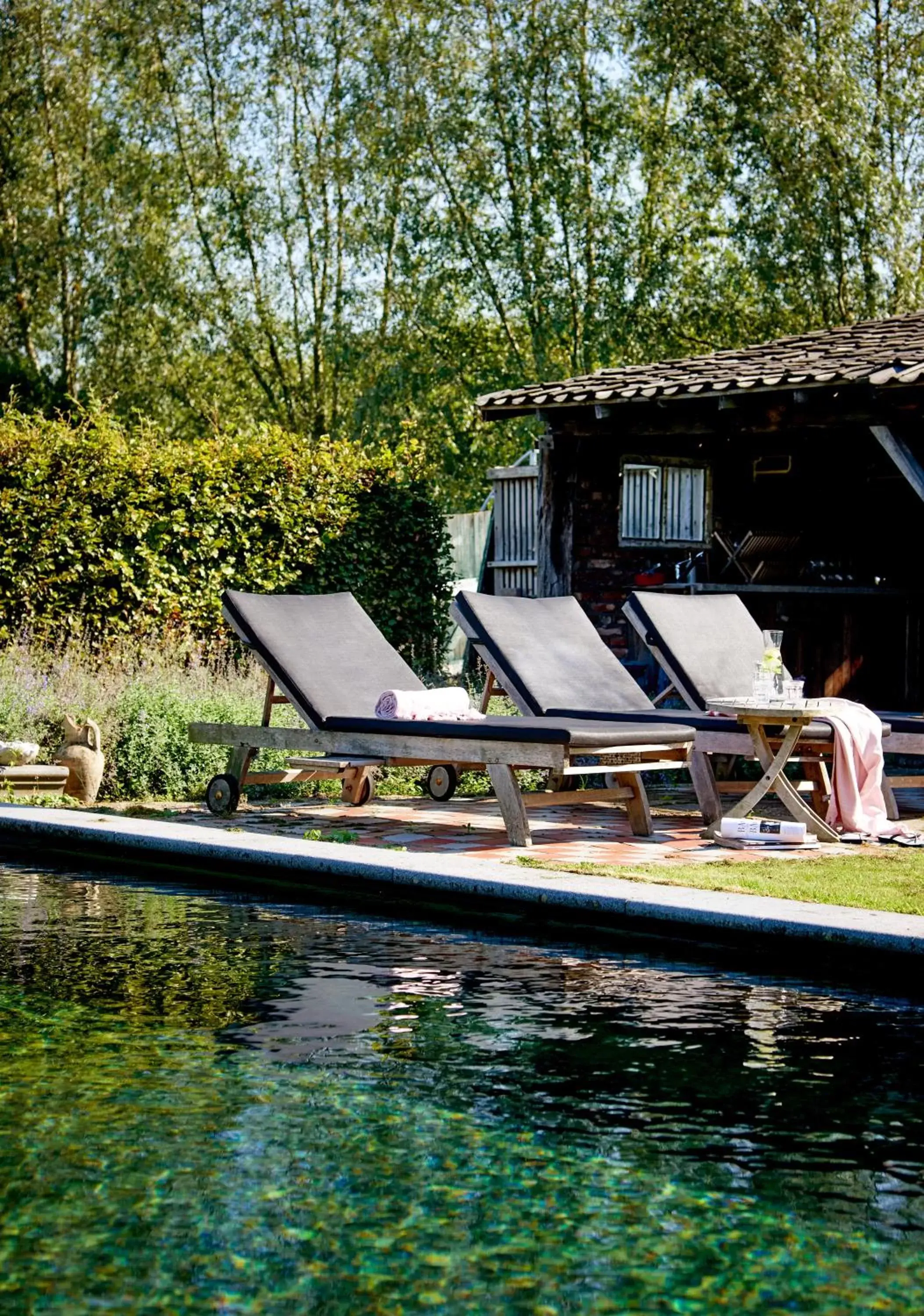 Garden, Swimming Pool in Gasterie Lieve Hemel