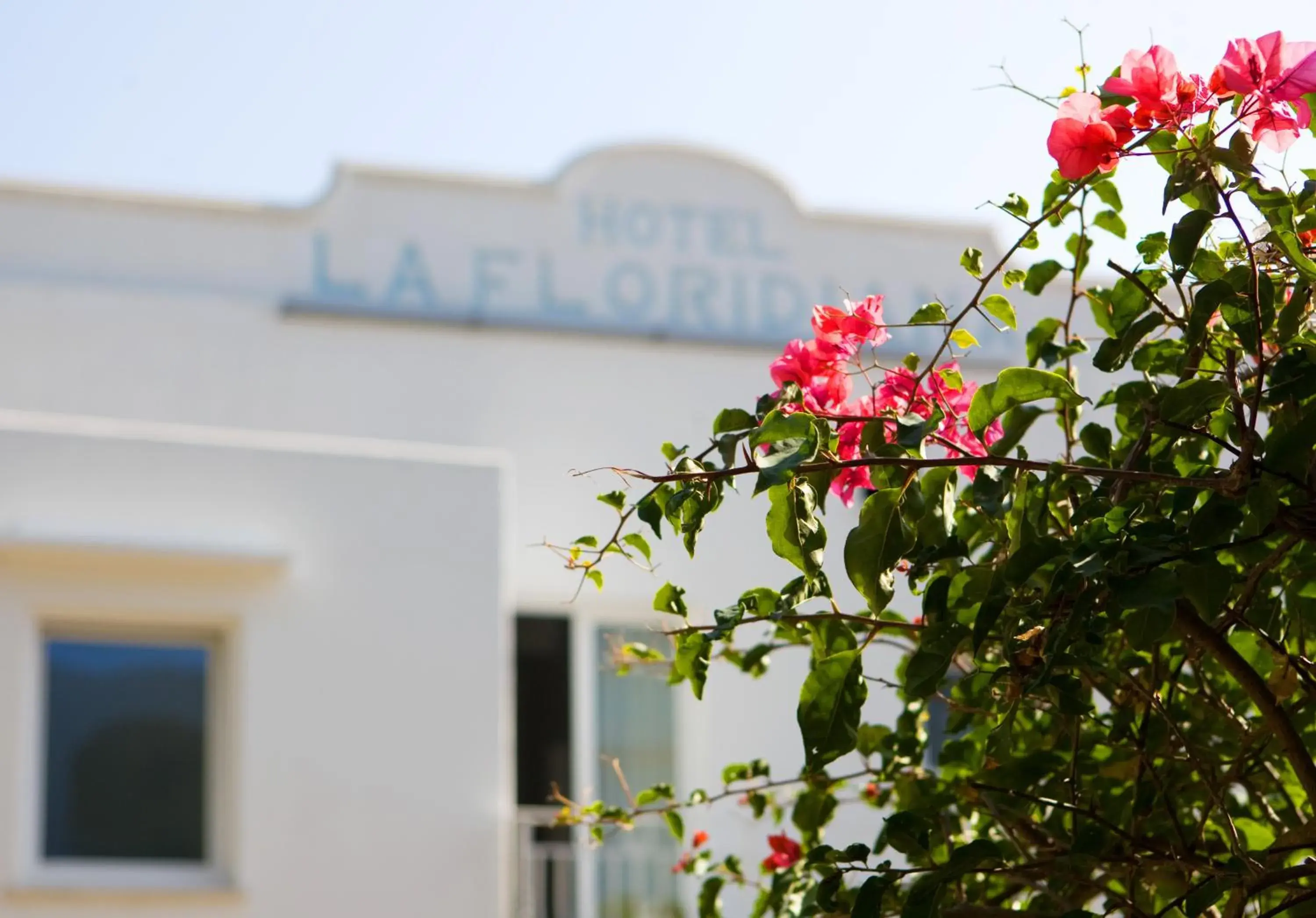 Facade/entrance, Property Building in Hotel La Floridiana