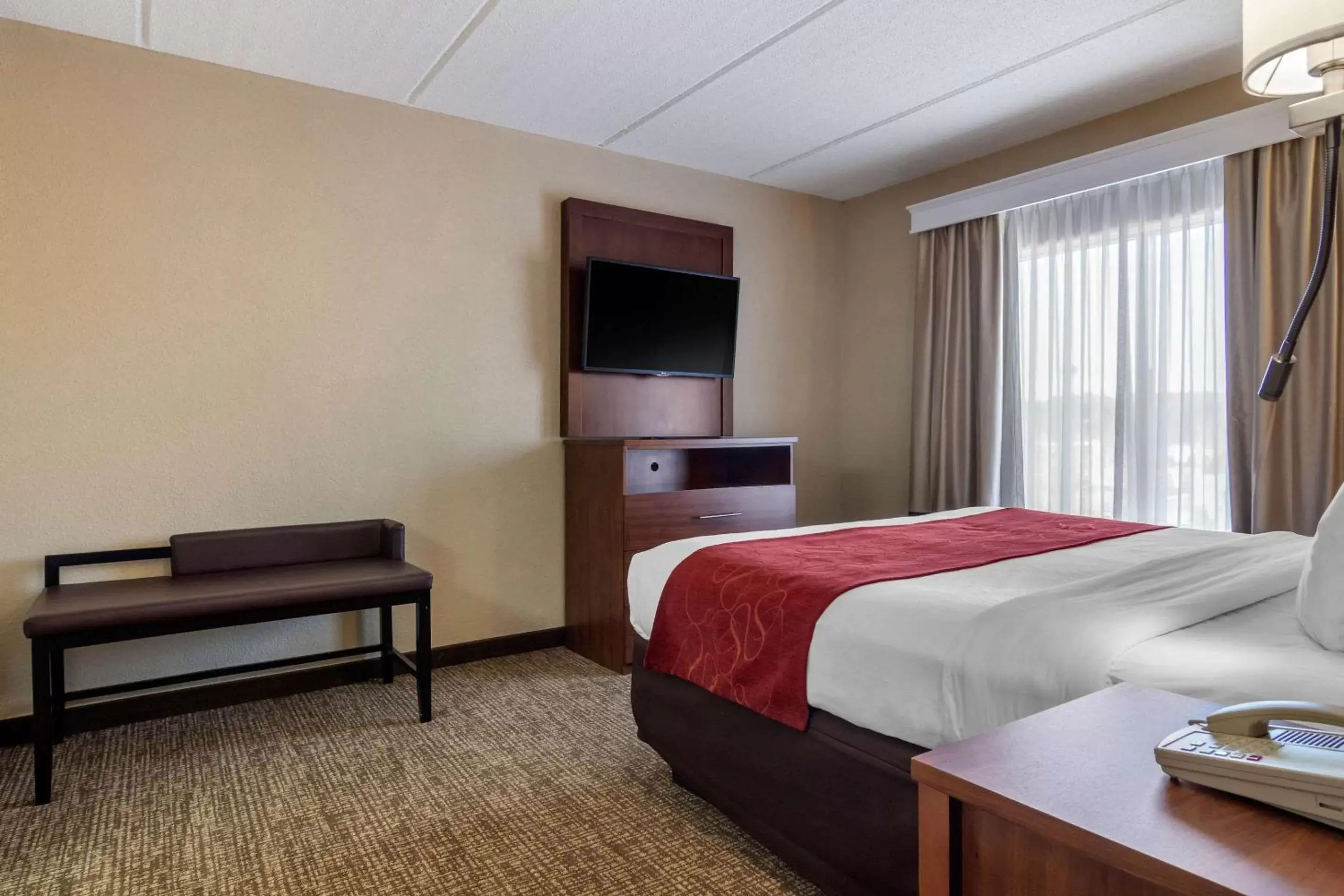 Photo of the whole room, Bed in Comfort Suites Woodstock