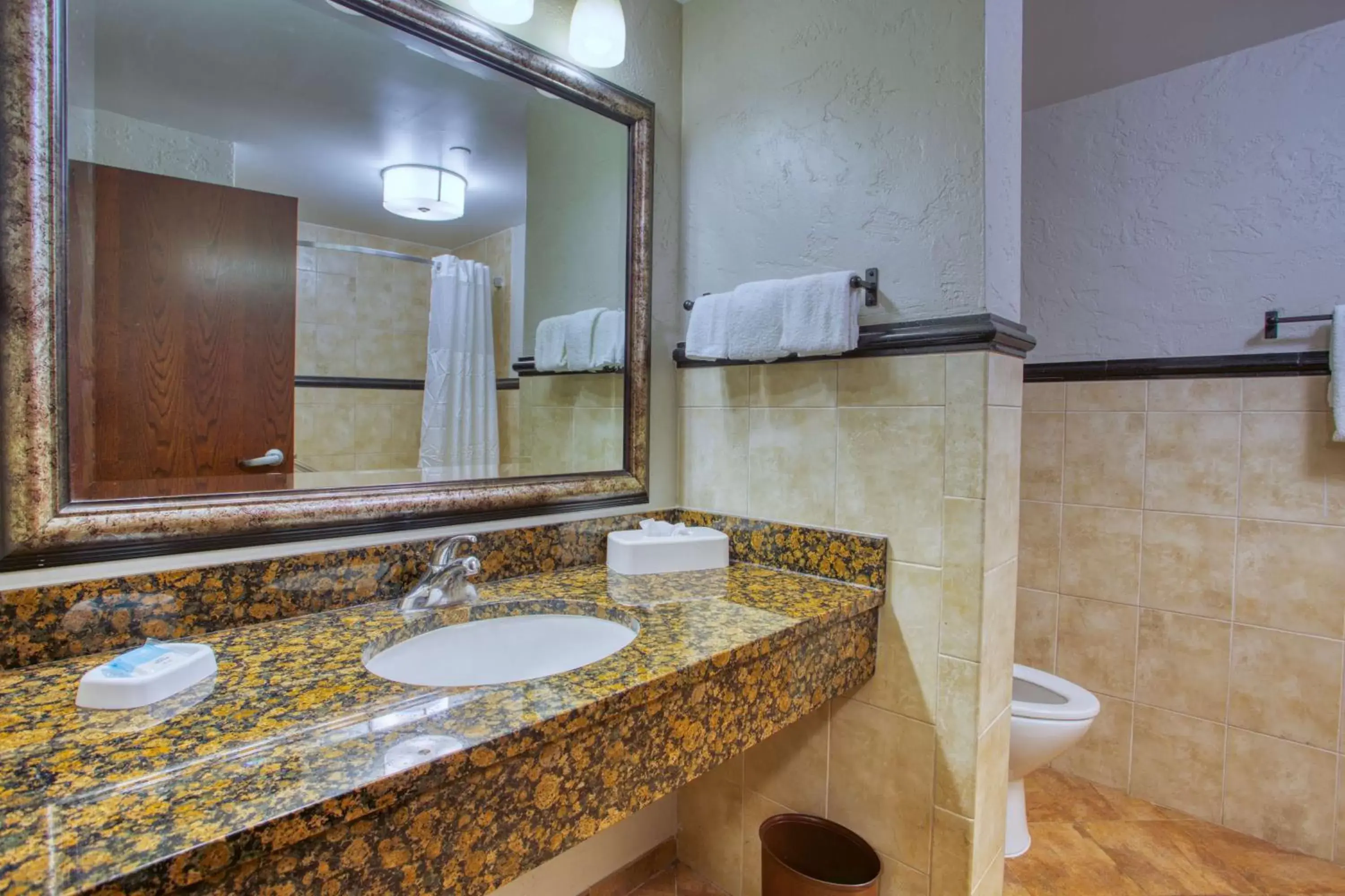 Photo of the whole room, Bathroom in Drury Inn & Suites San Antonio Near La Cantera