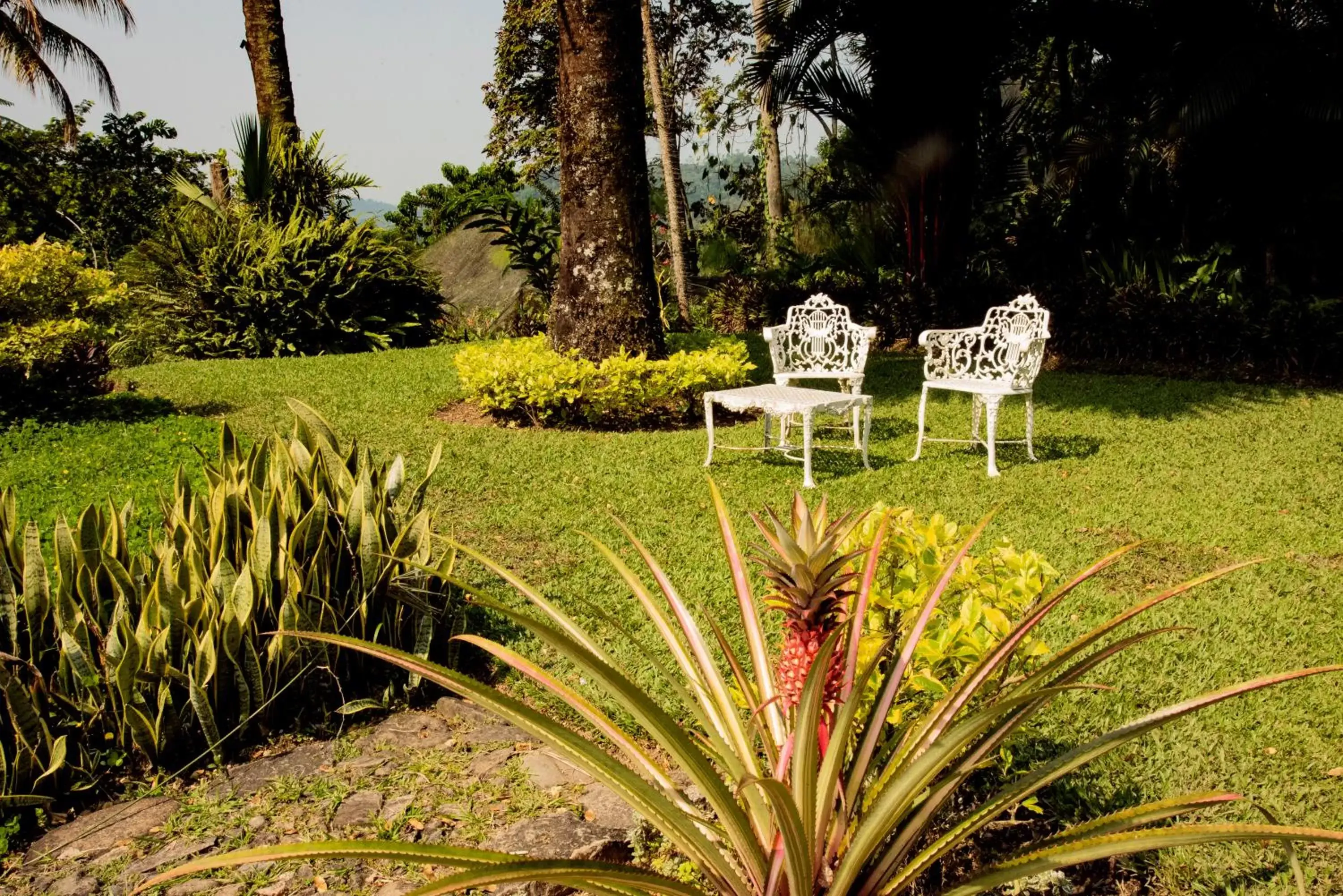 Garden in Argovia Finca Resort