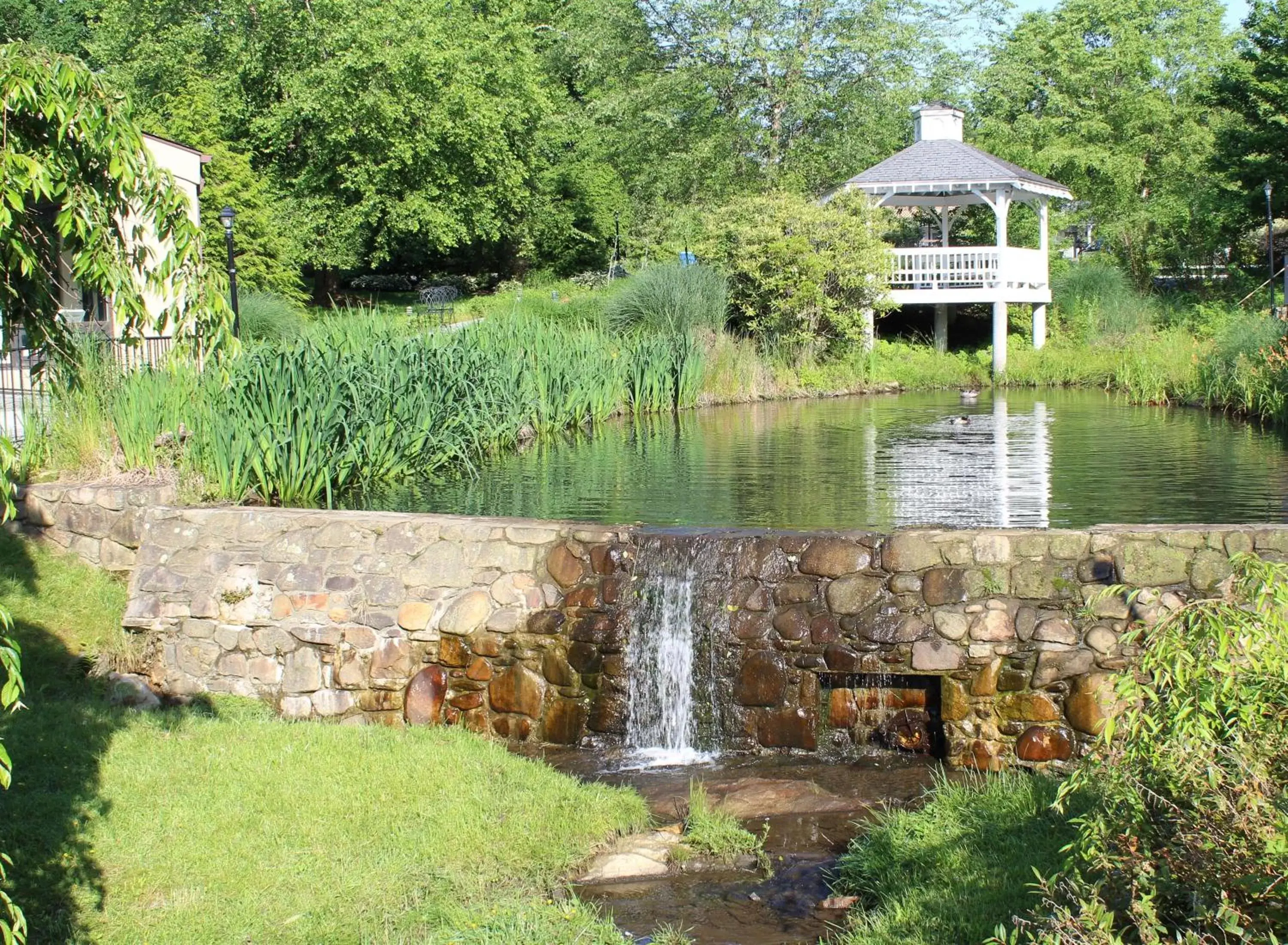 Garden in Meadowbrook Inn