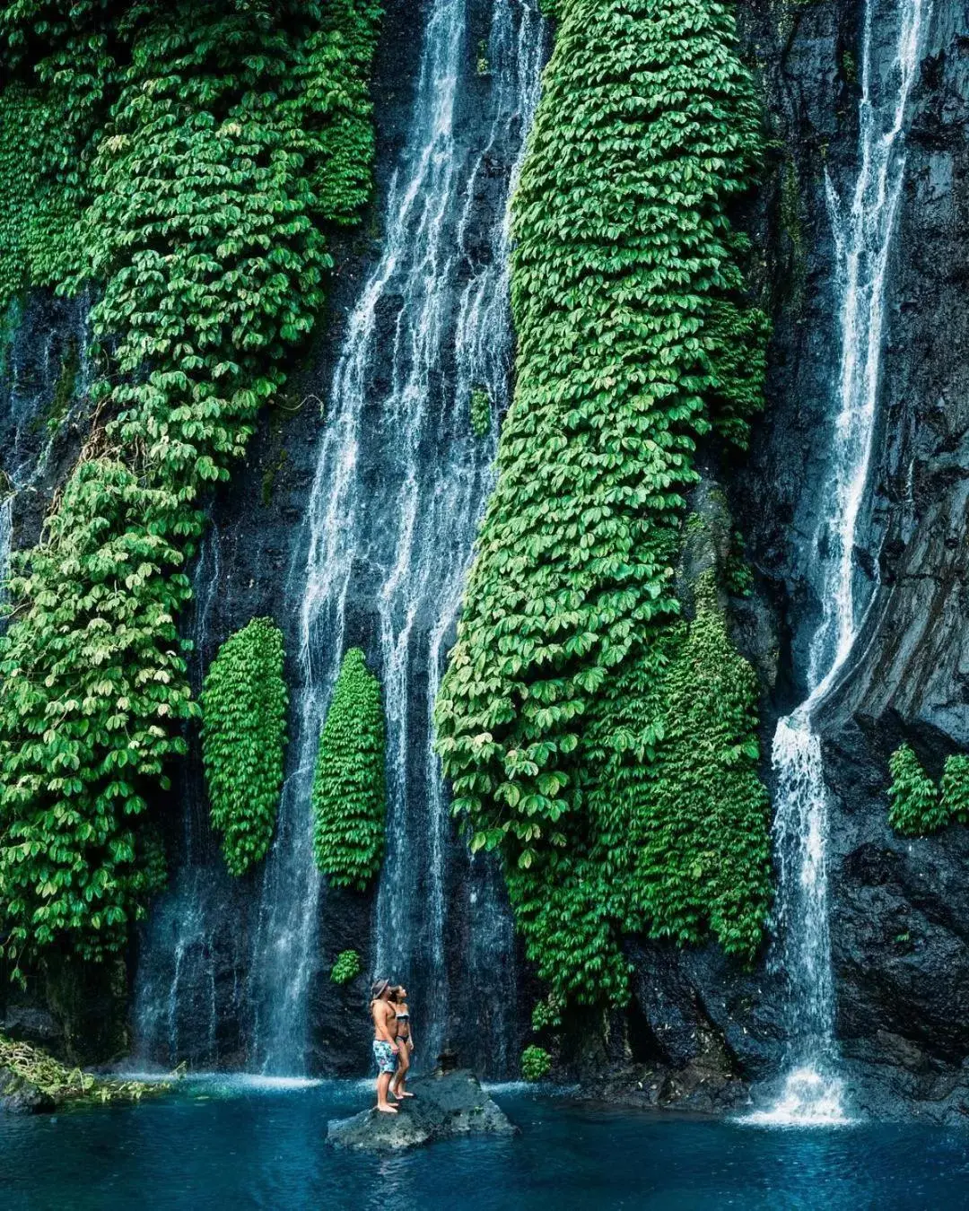 Natural landscape in Munduk Moding Plantation Nature Resort & Spa