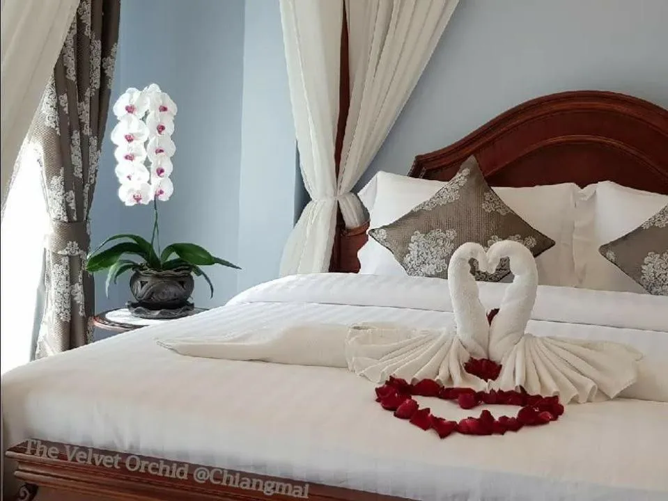 Bed in The Velvet Orchid