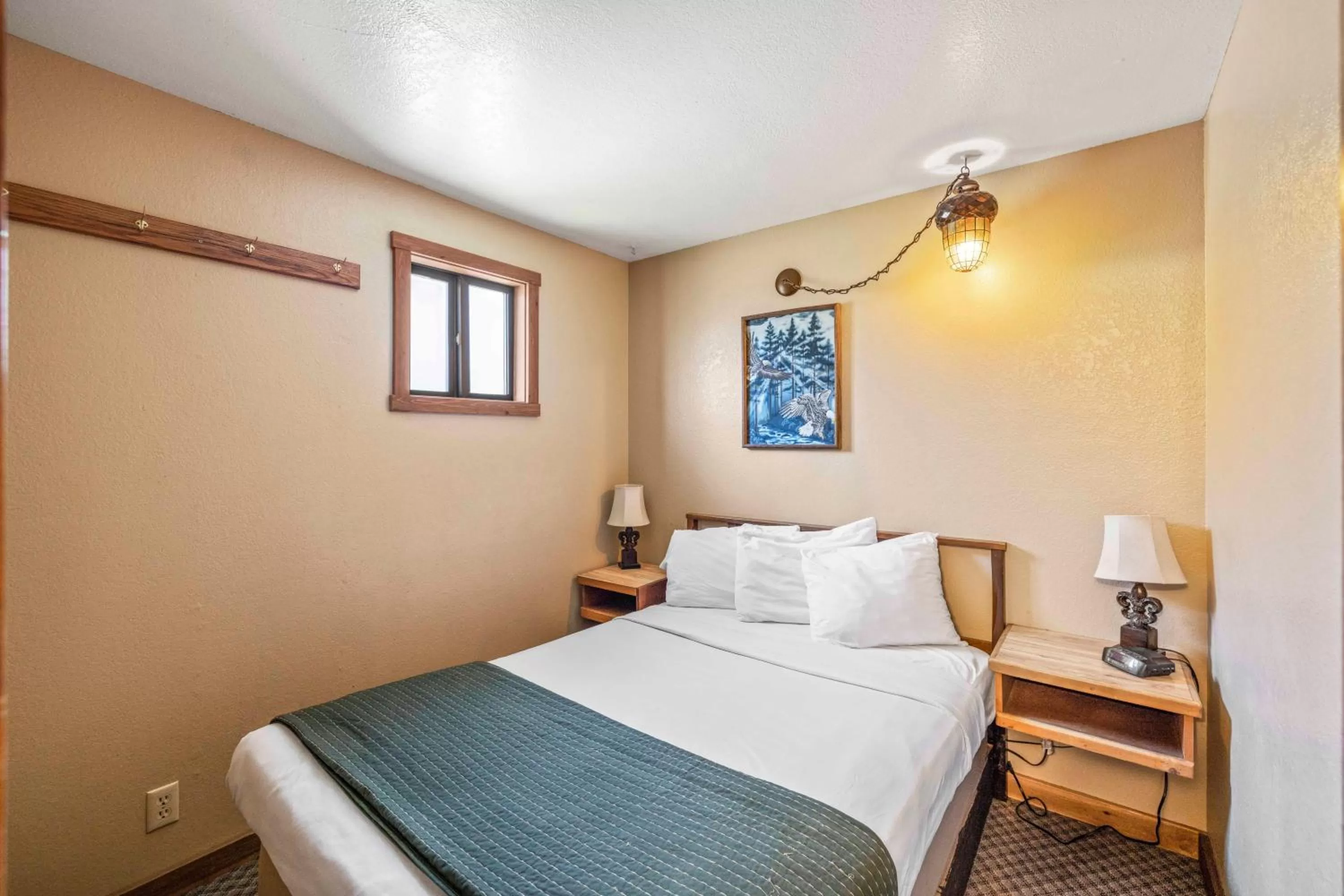 Photo of the whole room in Birch Glen Lodge