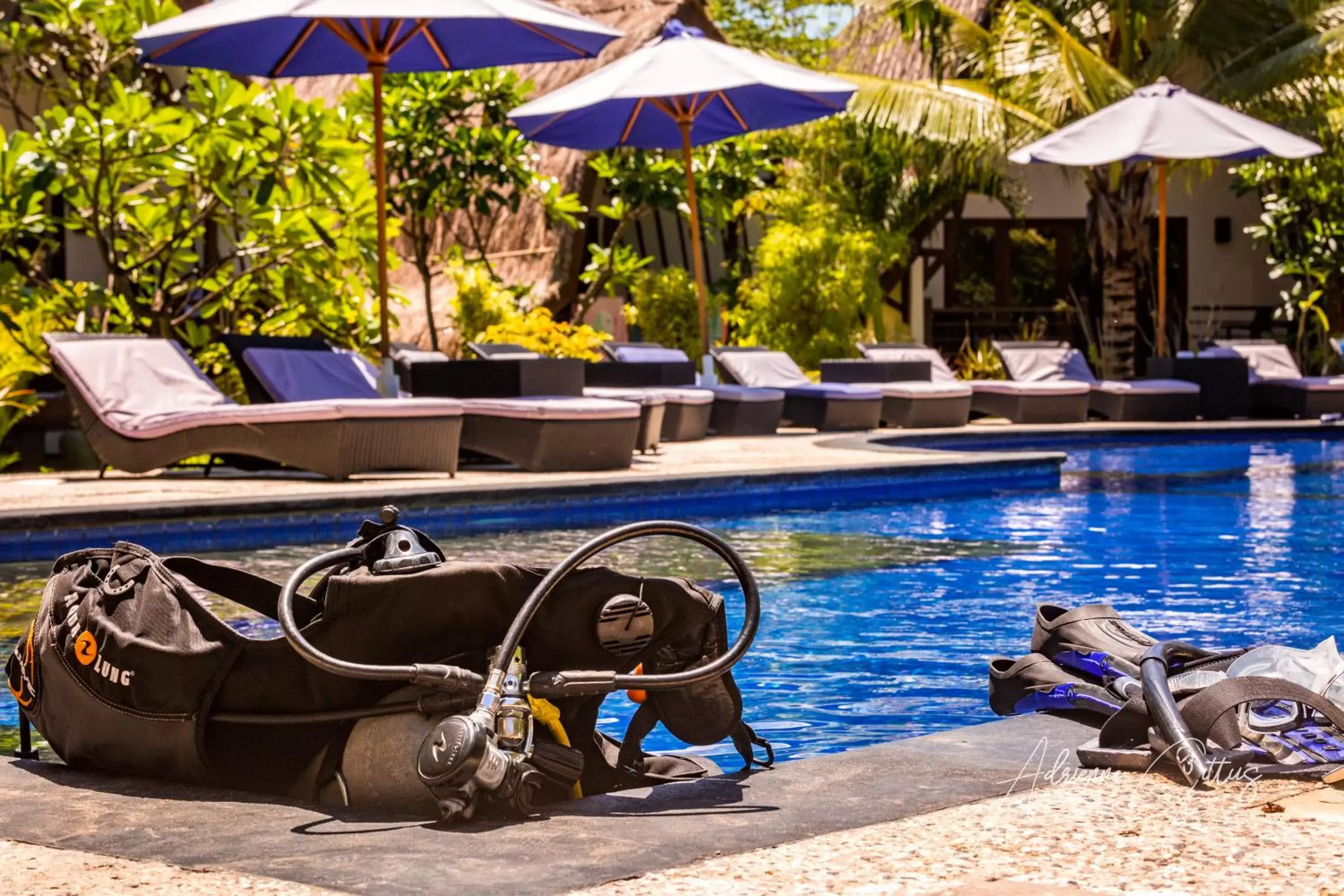 Swimming pool in Oceans 5 Dive Resort Swimming pool in Oceans 5 Dive Resort