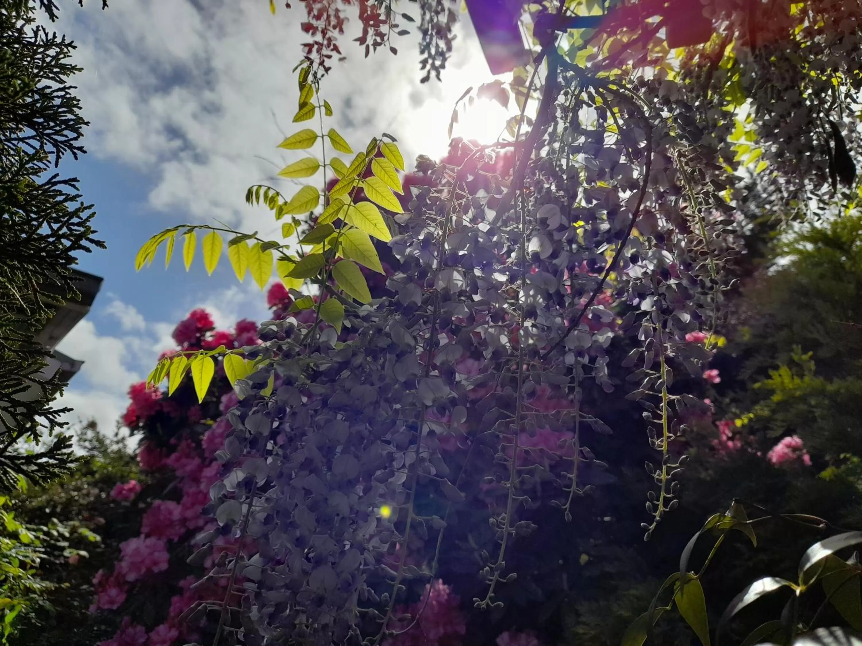 Hillside Bed and Breakfast