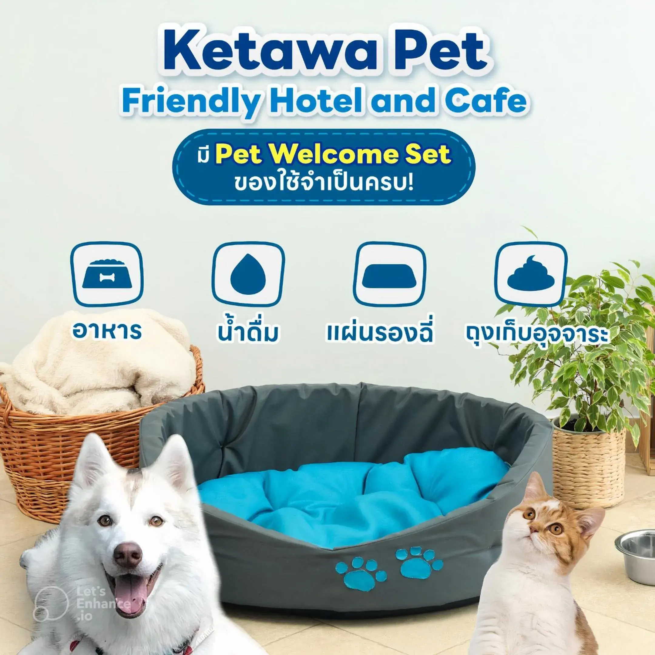 Pets in Ketawa Pet Friendly Hotel