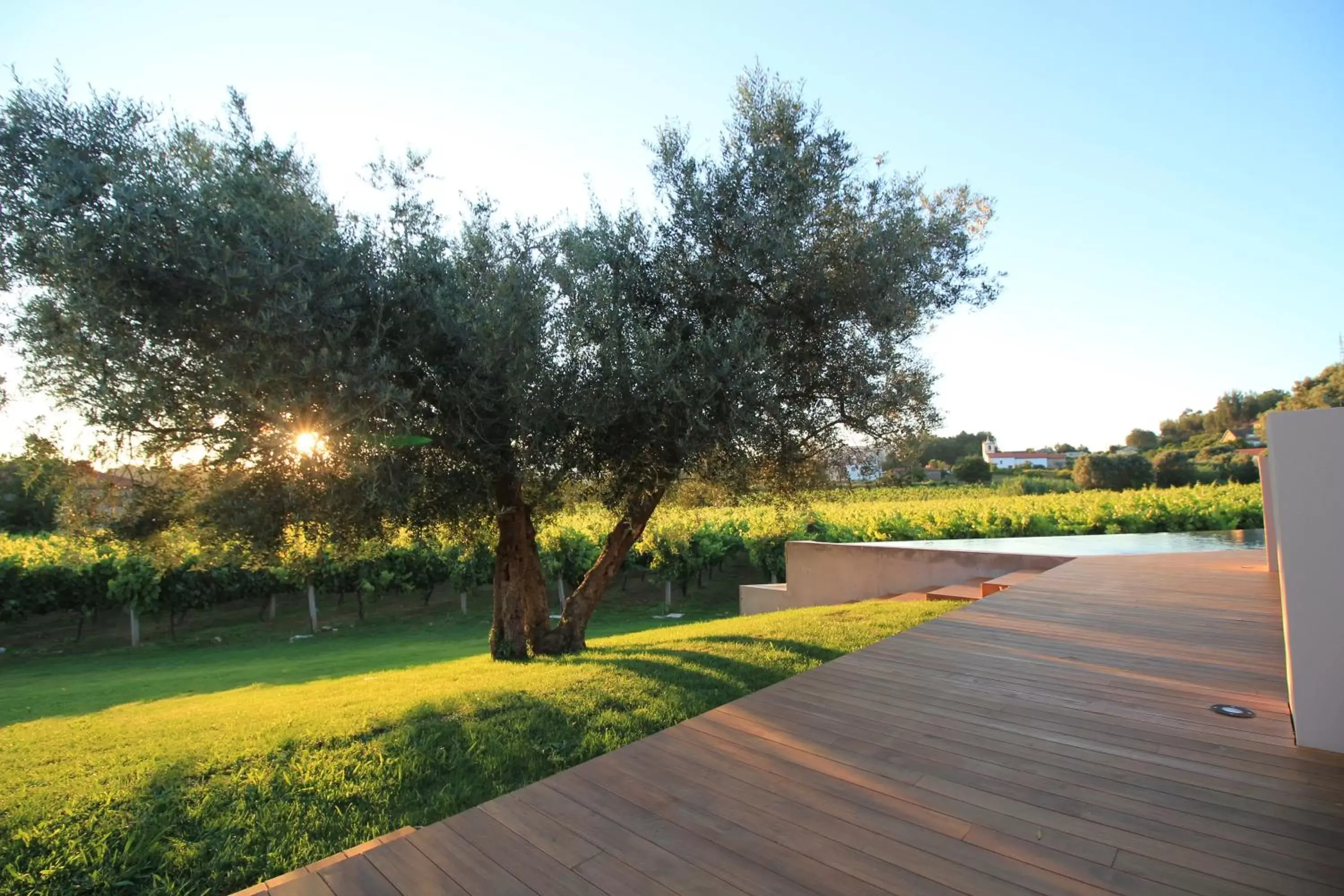 Patio in NHôme Country Living