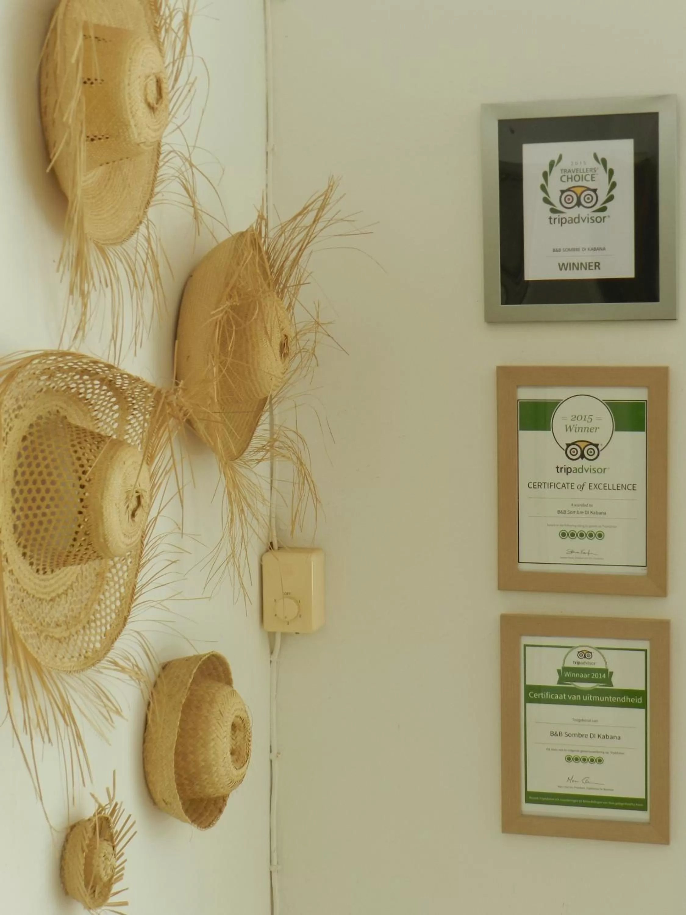 Certificate/Award in B&B Sombre di Kabana