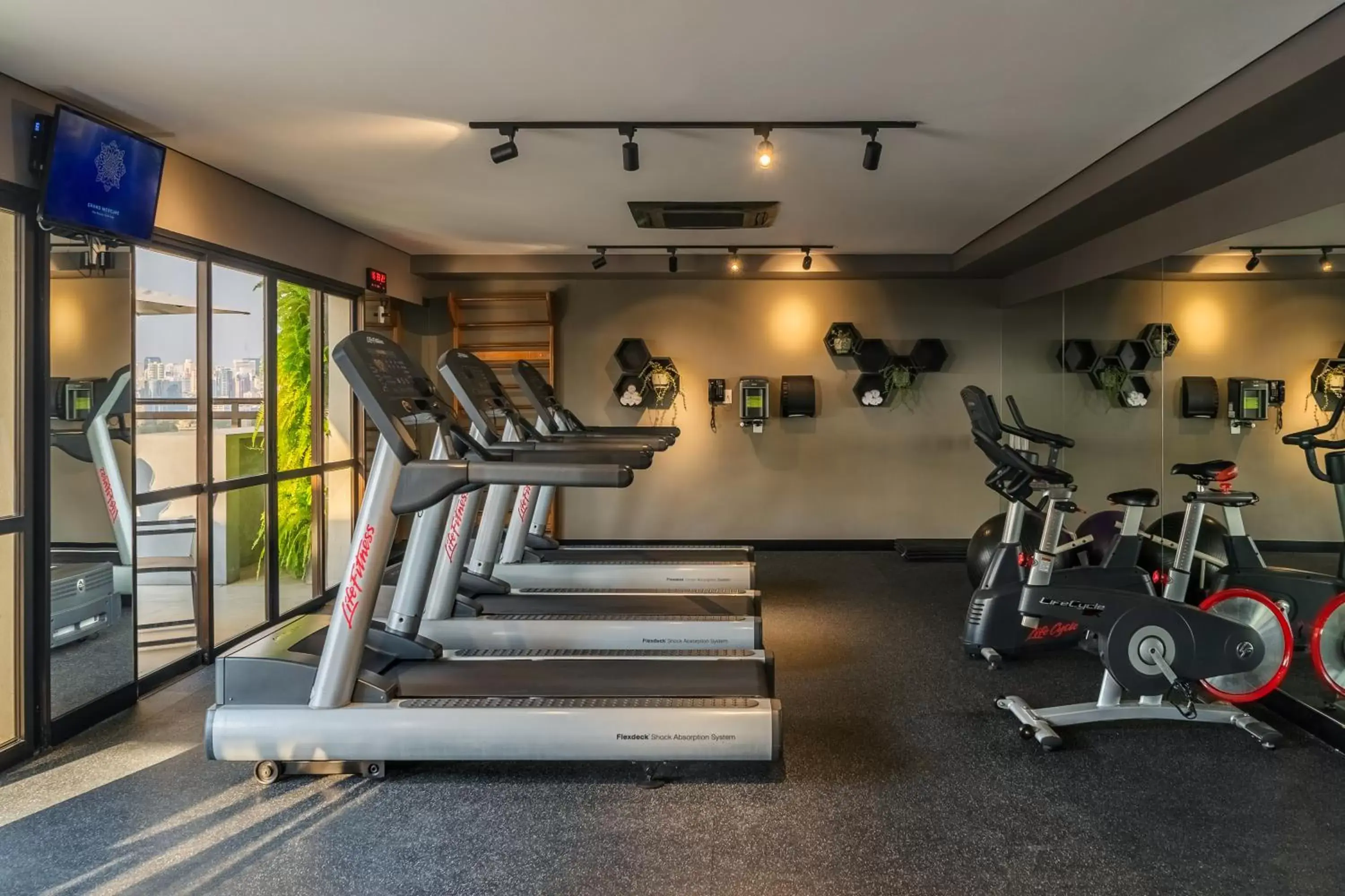 Fitness centre/facilities, Fitness Center/Facilities in Grand Mercure SP Itaim Bibi
