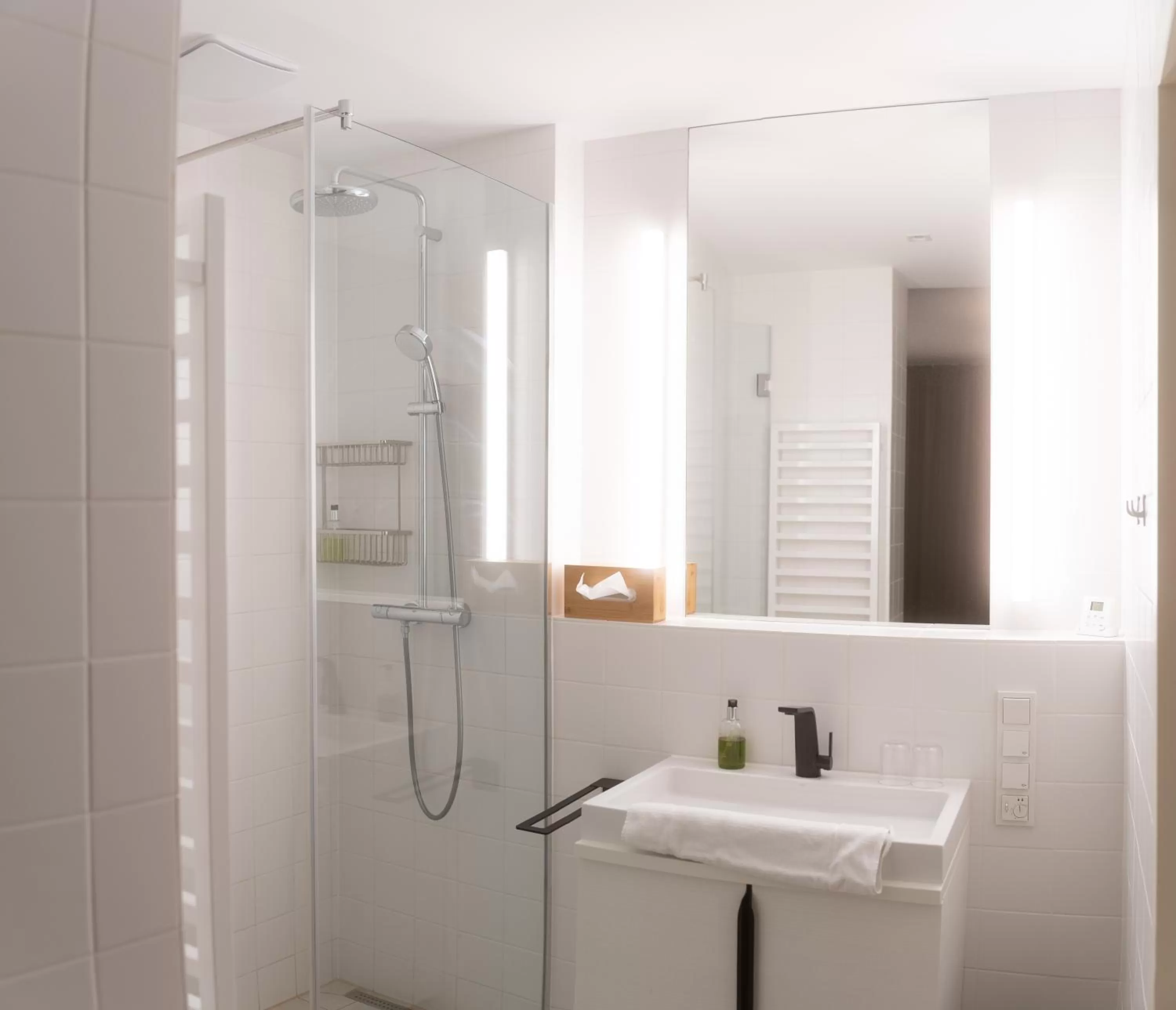 Shower in grätzlhotel Karmelitermarkt