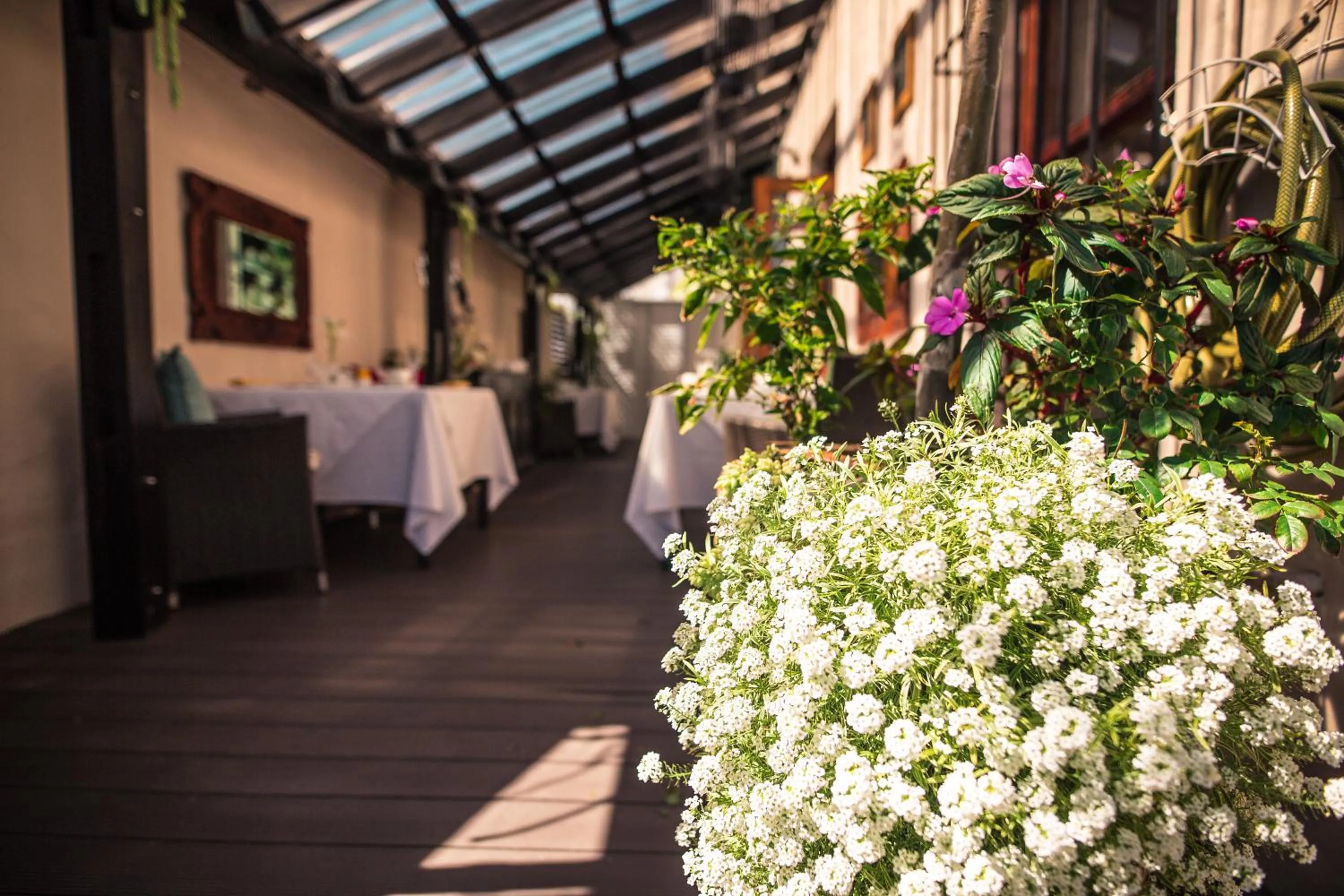 Balcony/Terrace in Point B Guest House -Sustainable Solar Energy