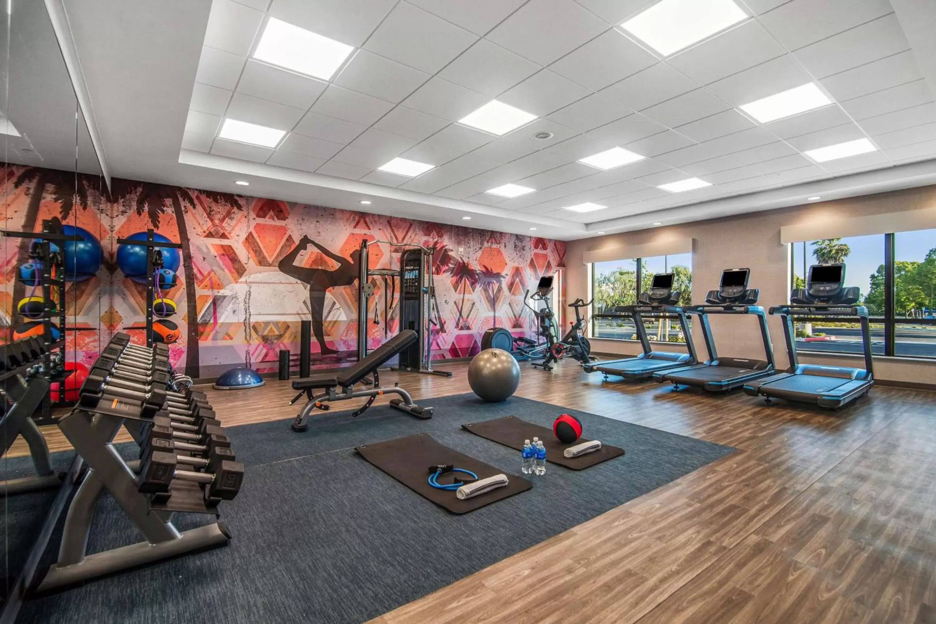 Fitness centre/facilities, Fitness Center/Facilities in Hyatt Place Newark-Silicon Valley