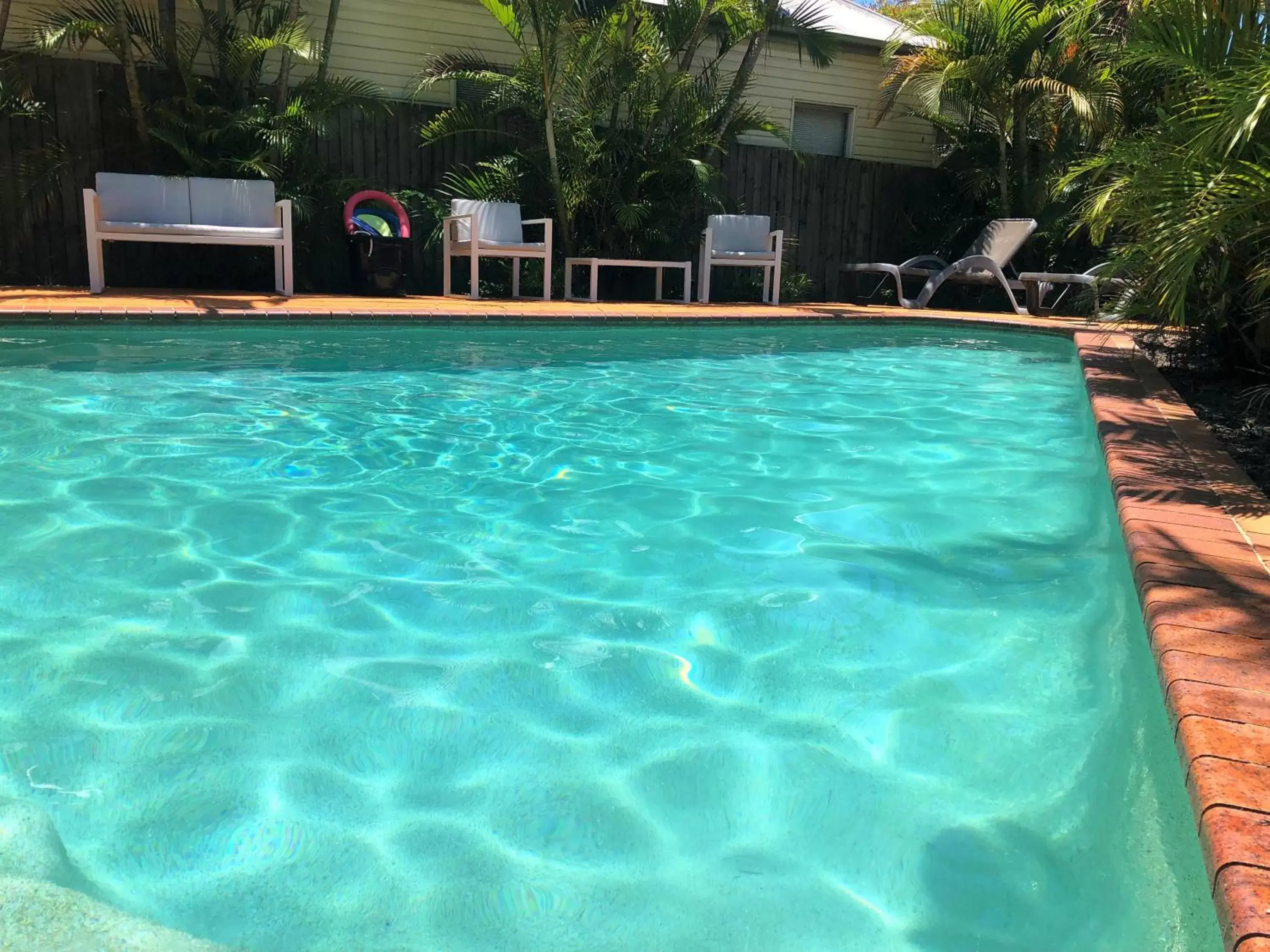 Pool view, Swimming Pool in Airport Clayfield Motel