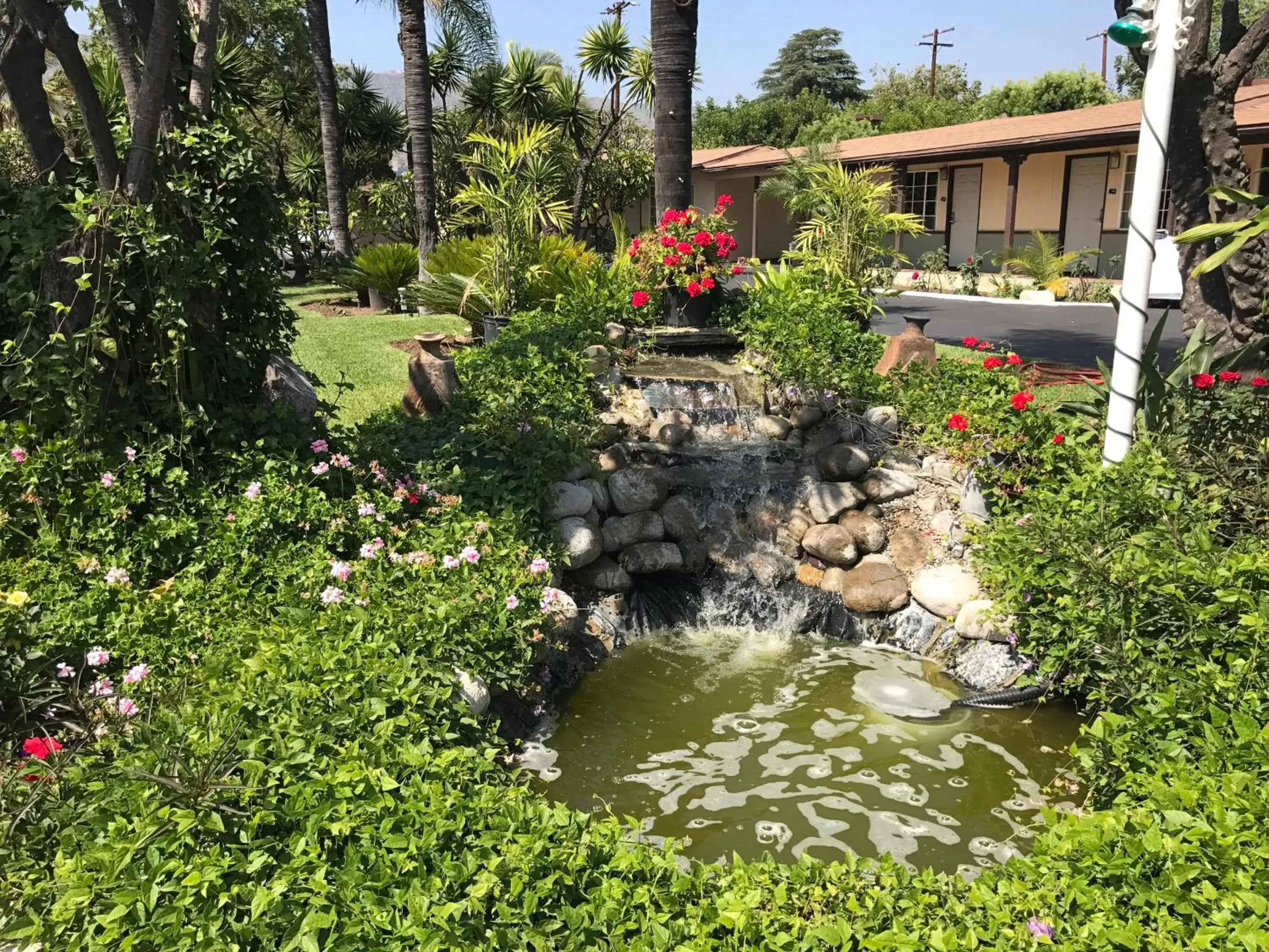 Garden in Palm Tropics Motel
