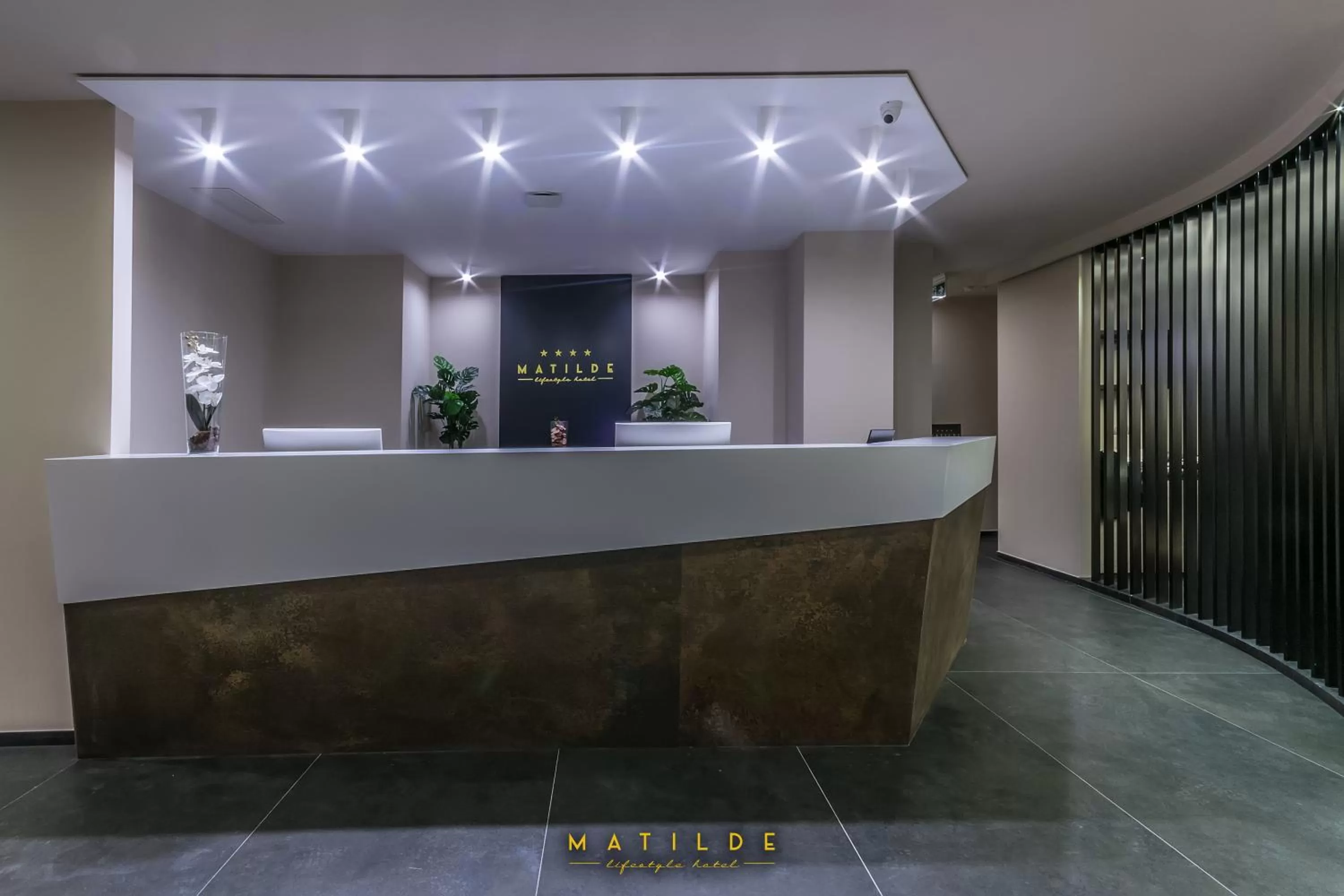 Lobby or reception in Hotel Matilde - Lifestyle Hotel