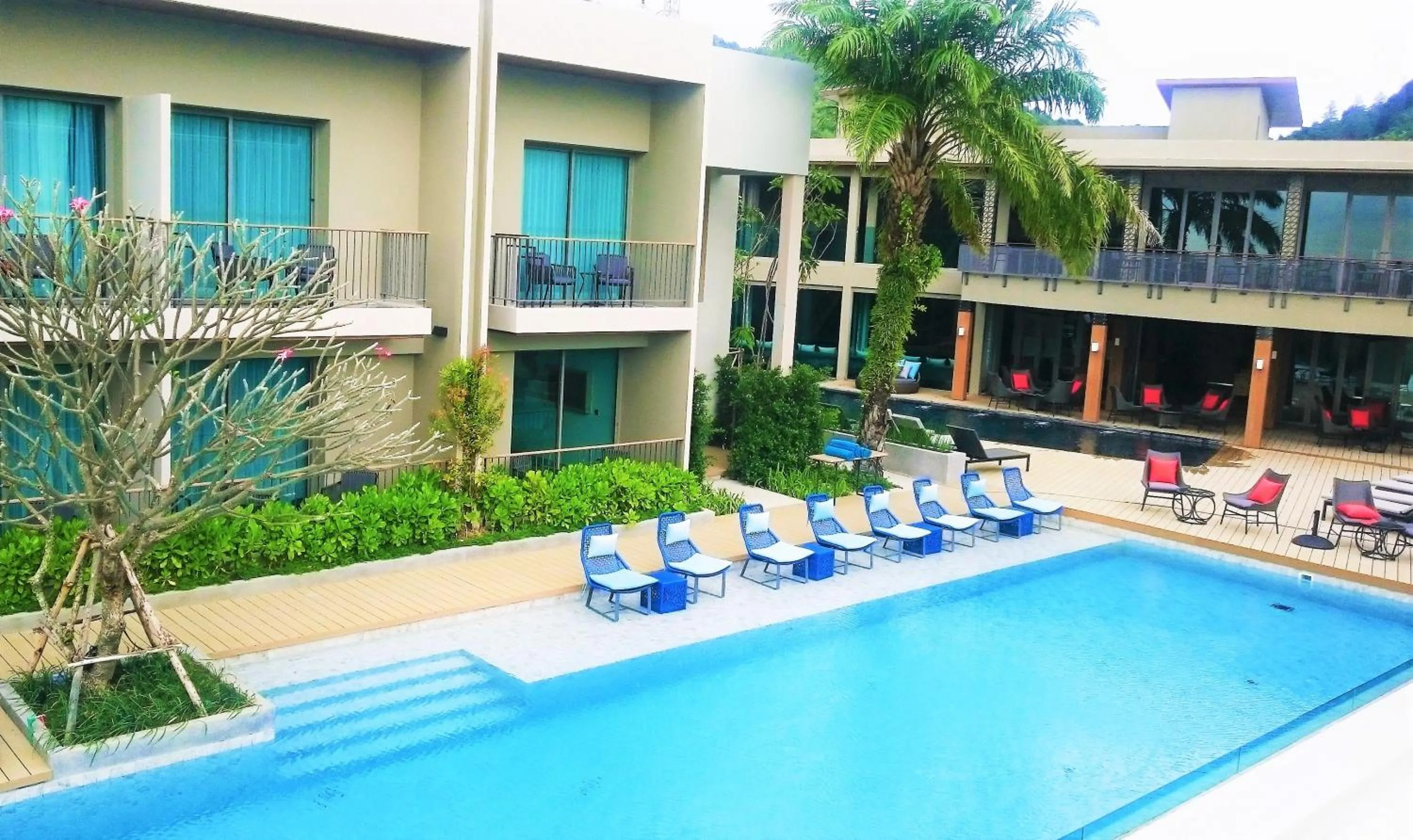 Swimming Pool in MAI HOUSE Patong Hill