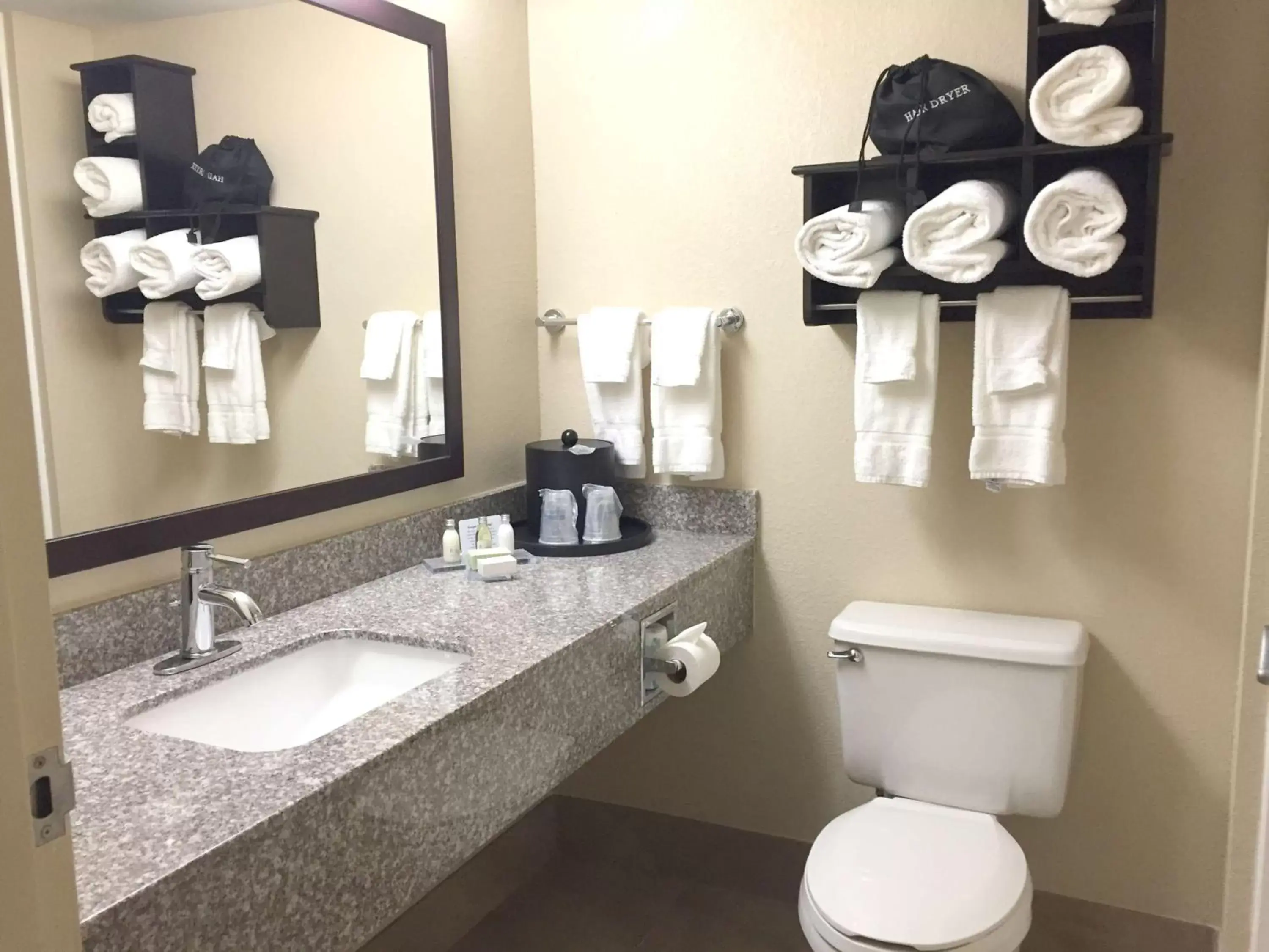 Bathroom in Best Western Plus Birmingham Inn & Suites