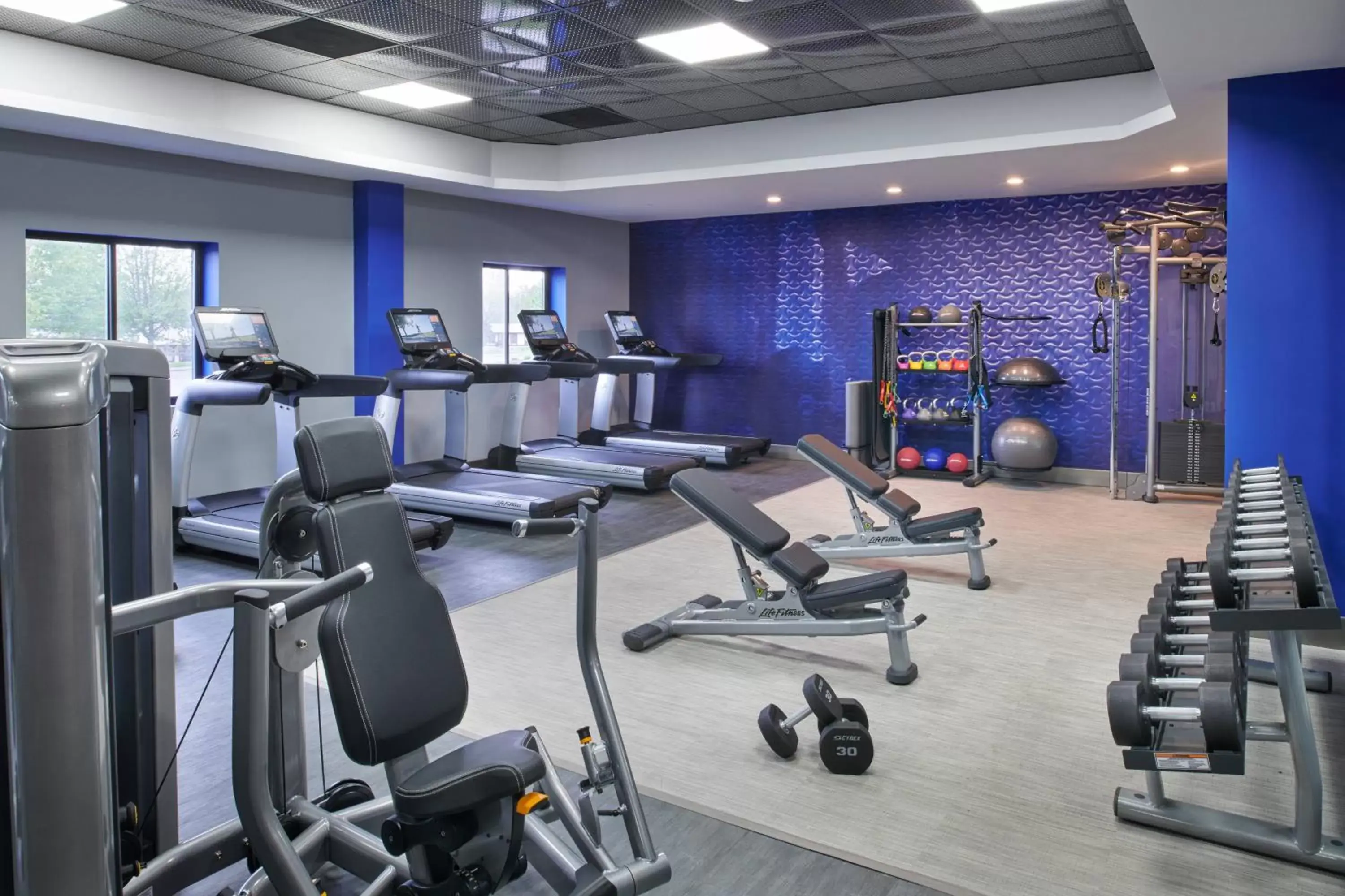 Fitness centre/facilities, Fitness Center/Facilities in Delta Hotels by Marriott Detroit Novi