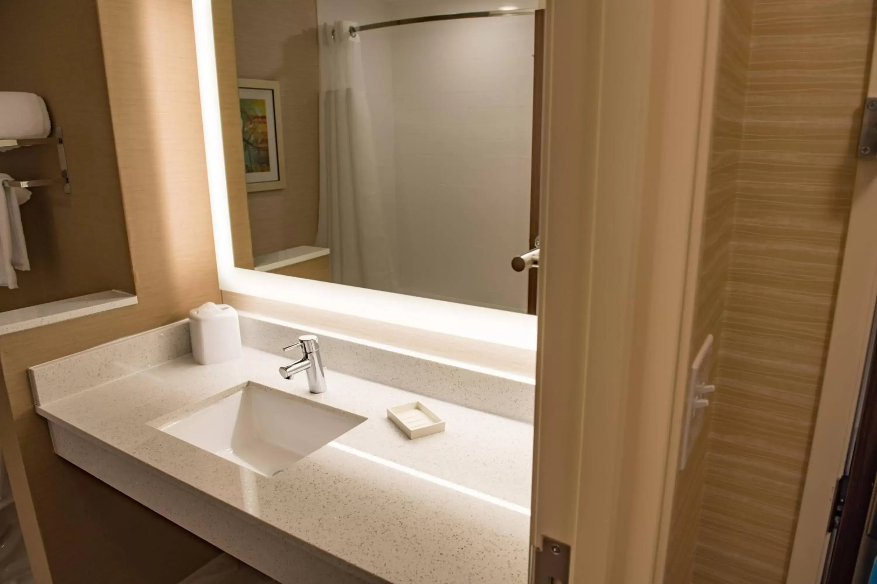 Bathroom in Fairfield Inn & Suites by Marriott Anderson