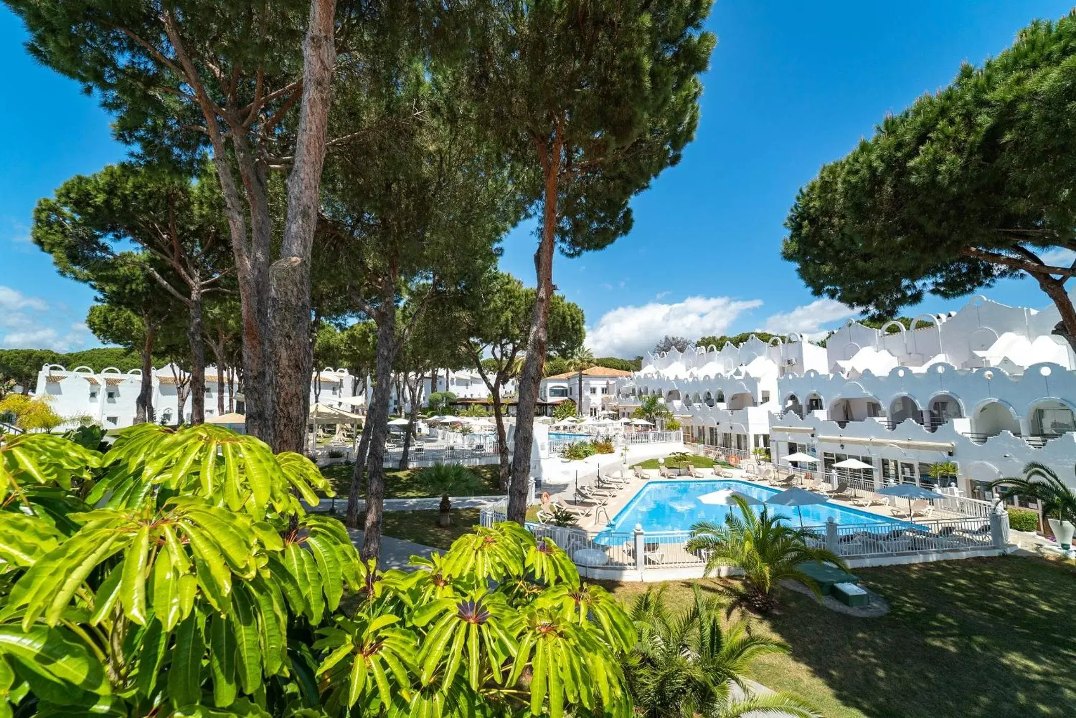 Garden, Swimming Pool in VIME La Reserva de Marbella