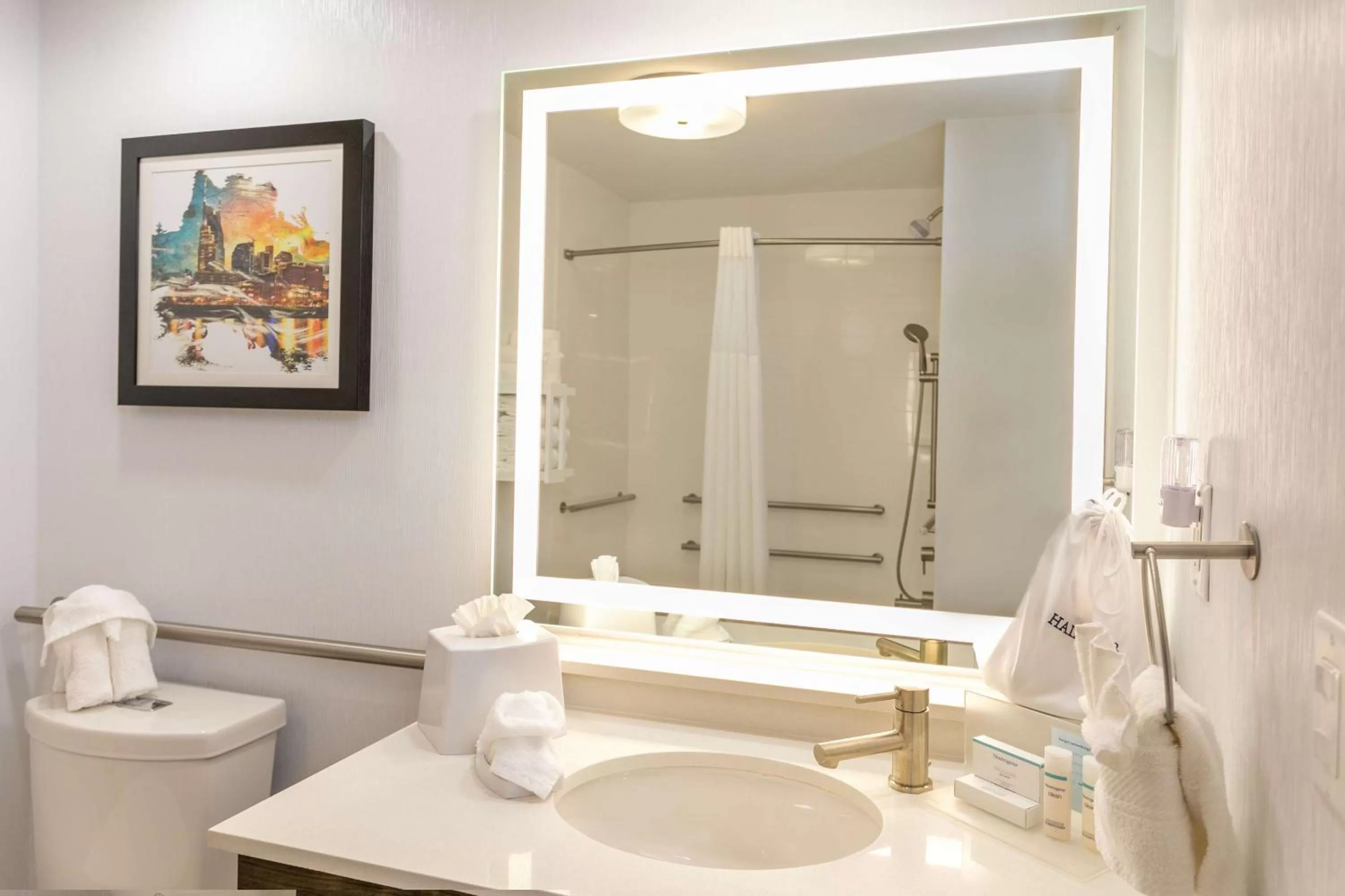 Bathroom in Hampton Inn & Suites Nashville-Green Hills