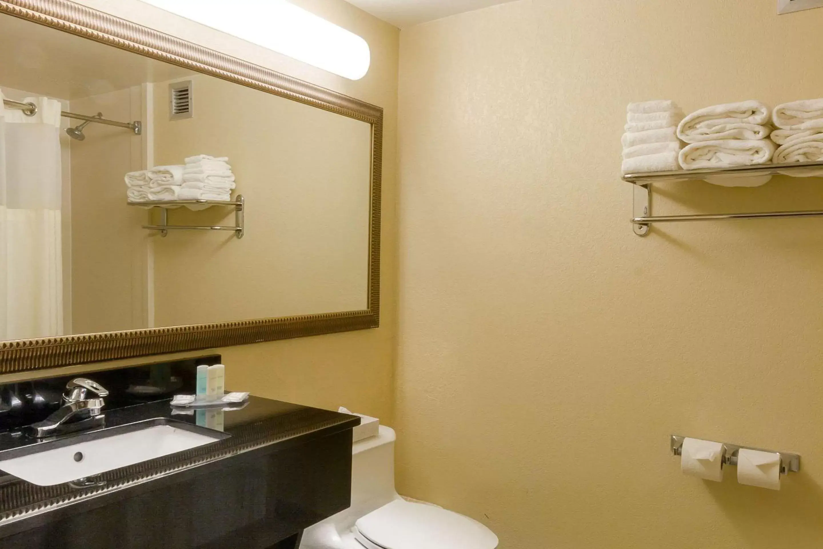 Bathroom in Clarion Inn & Suites Miami International Airport