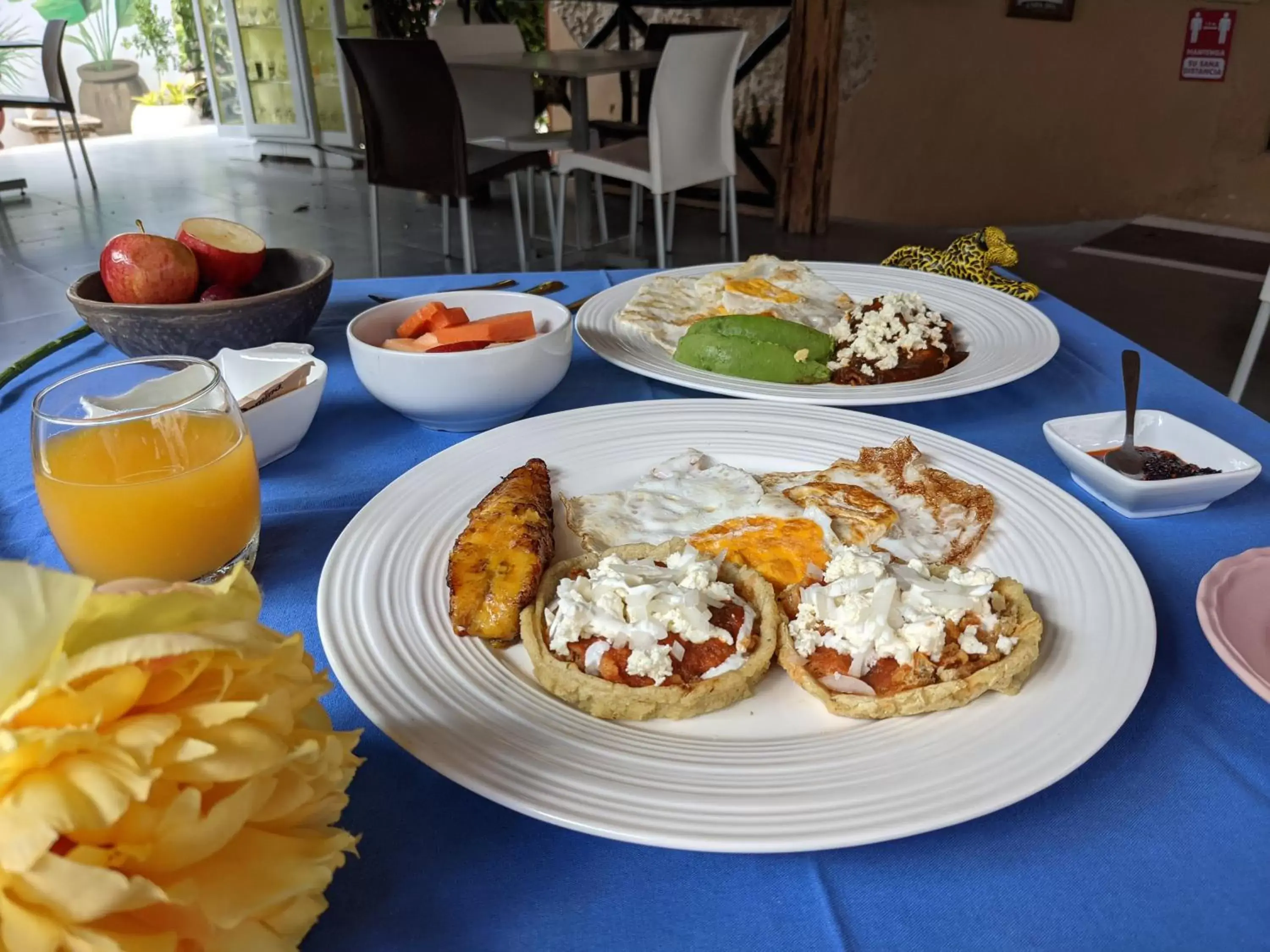 Restaurant/places to eat in Casa Aluxes Hotel
