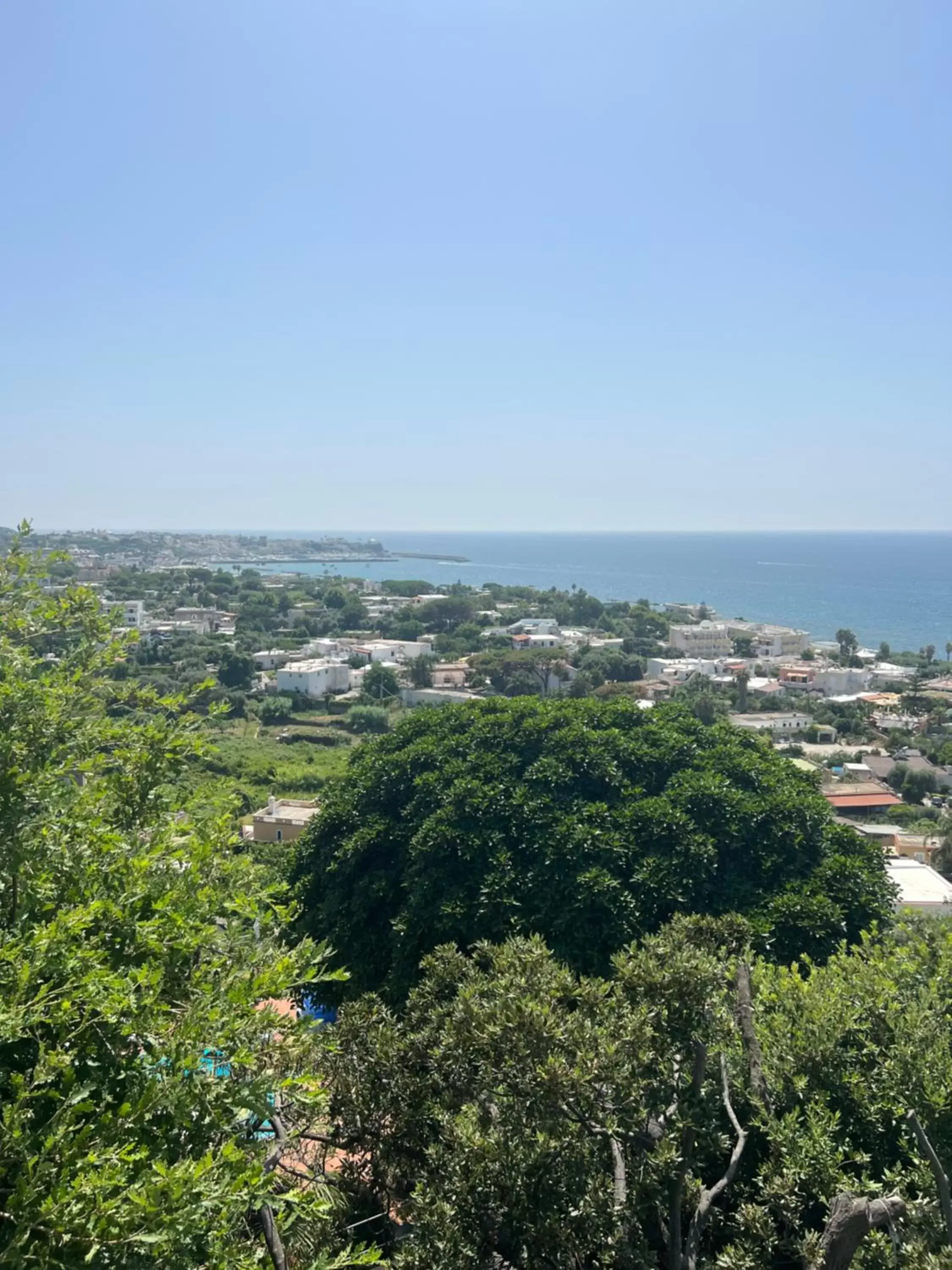 City view in Blu Panorama