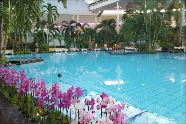 Swimming pool in Hotel Kick