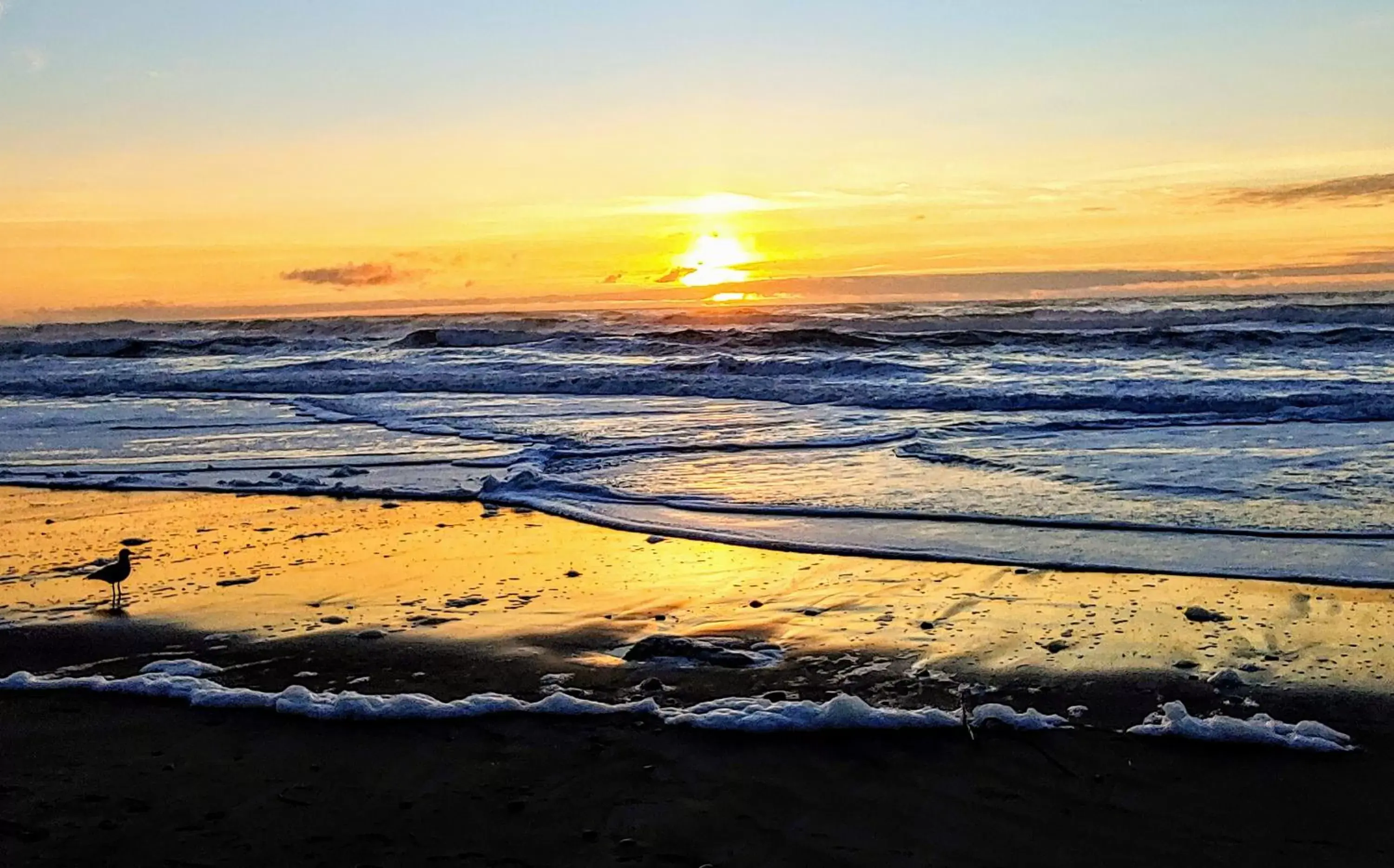 Beach, Sunrise/Sunset in Starfish Manor Oceanfront Hotel